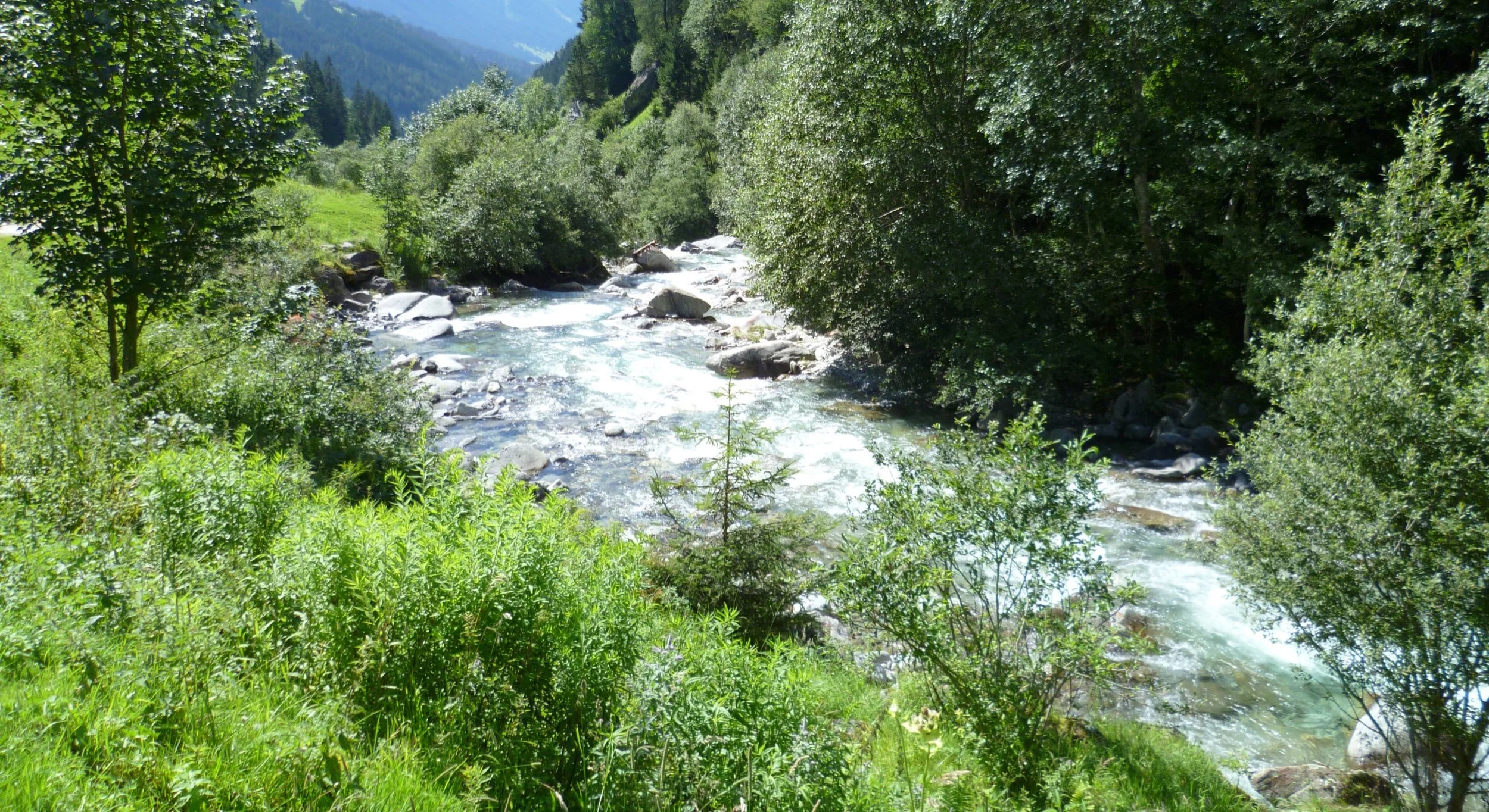 Mental health benefits of visiting UK’s woodlands estimated at £185 million