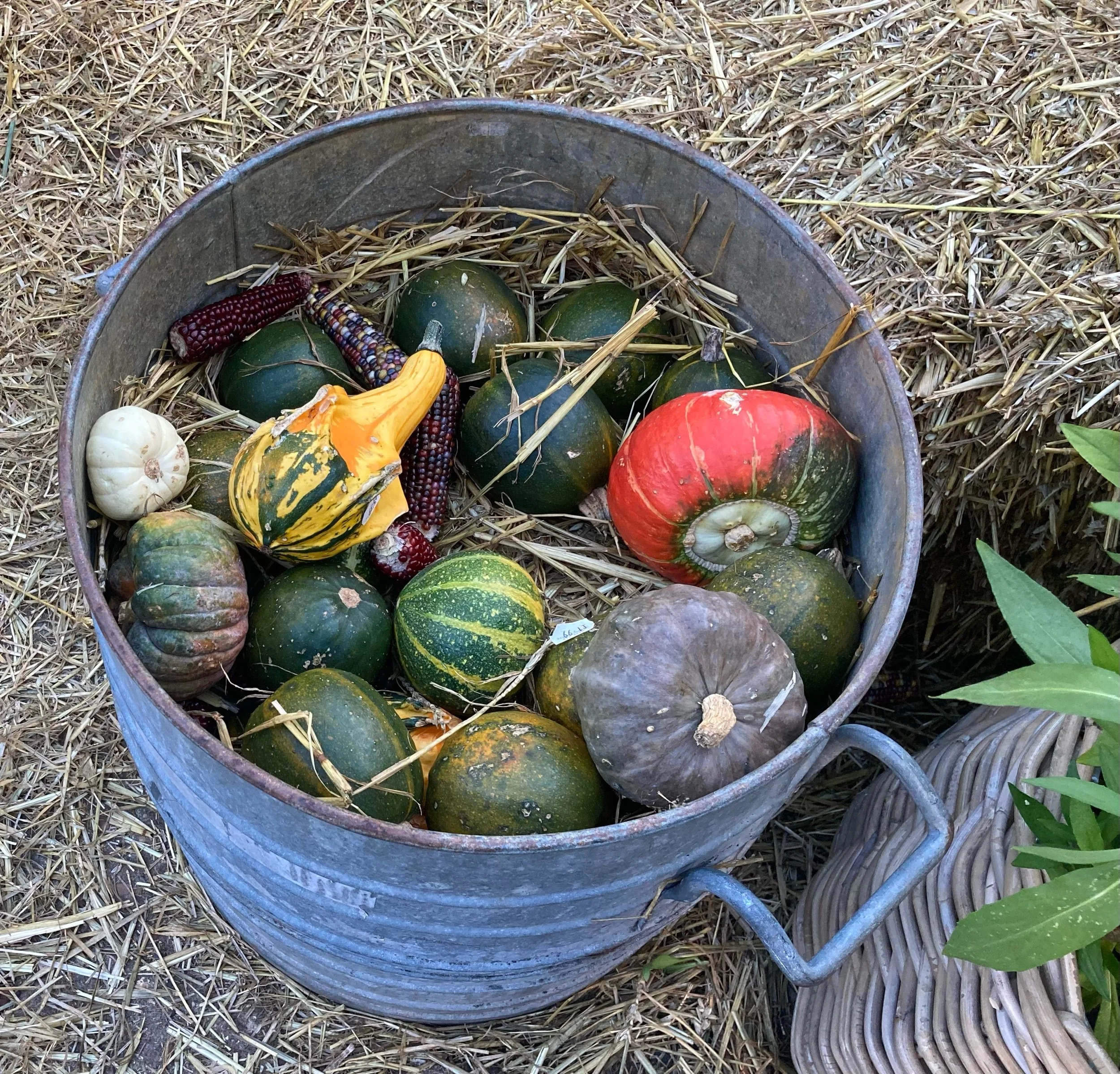 Diets that are good for the environment are also good for our health
