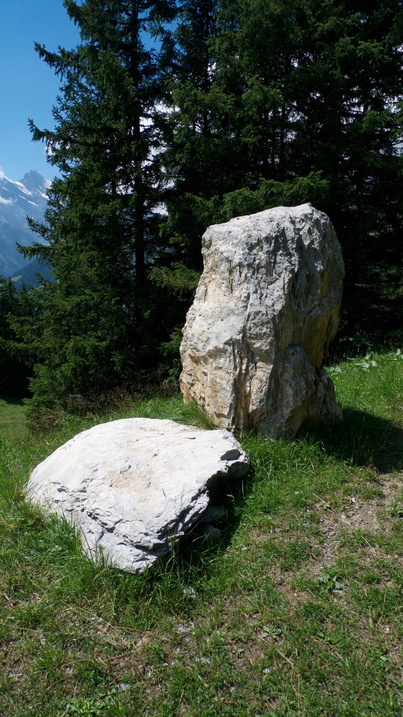 Canadian doctors prescribing nature therapy