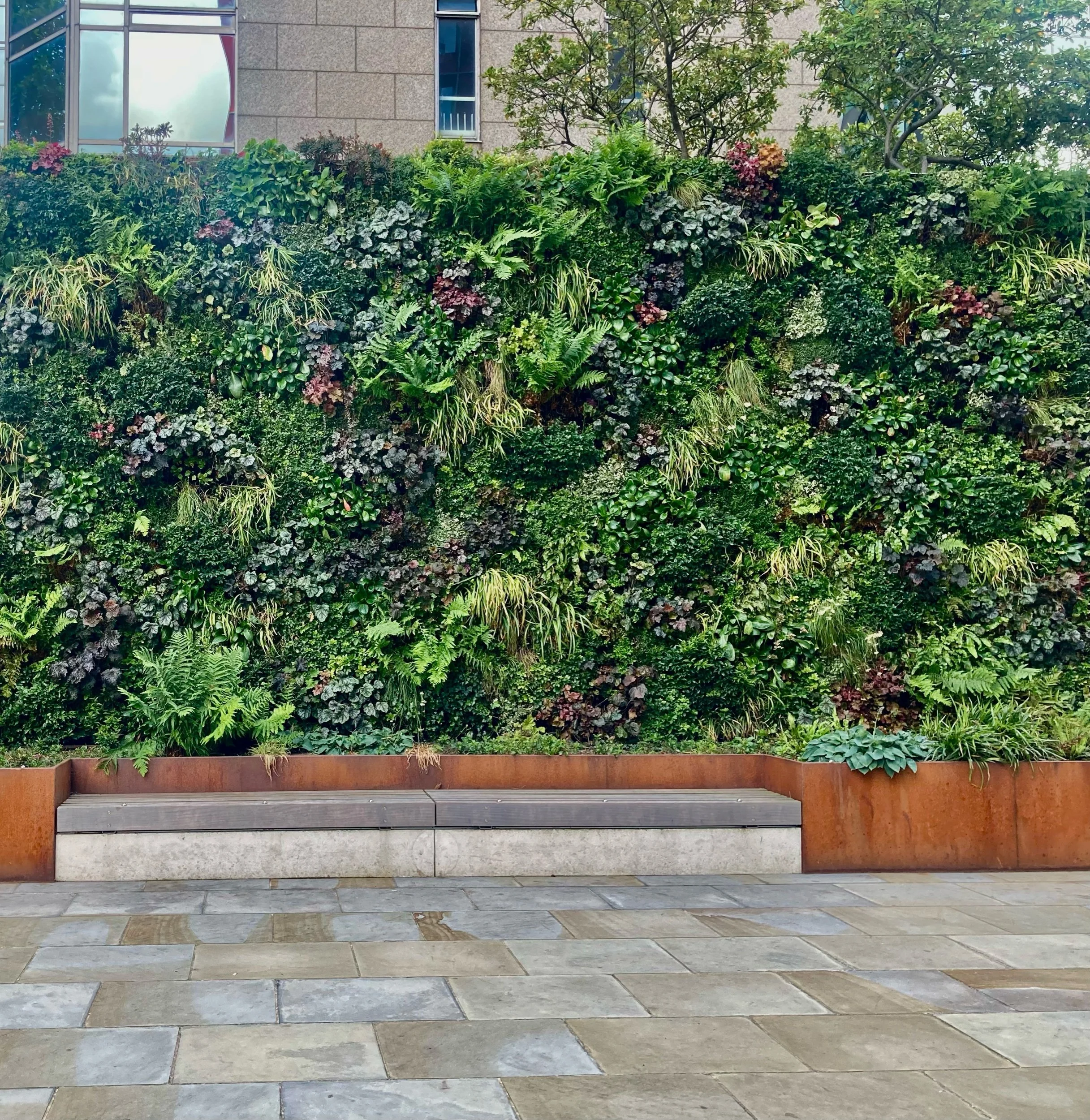 Green infrastructure can help reduce heat stress that results from climate change