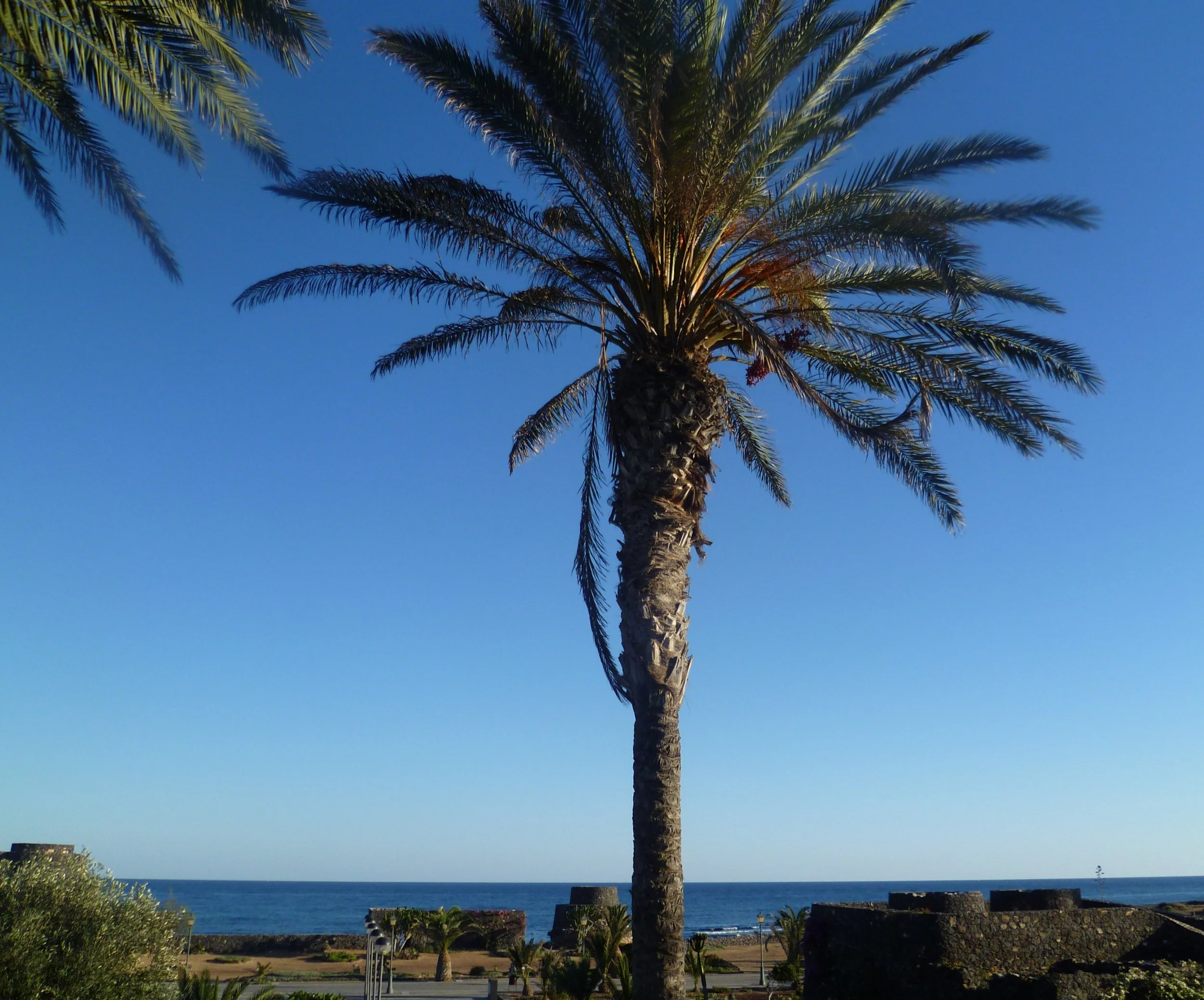 Exercising in hot weather