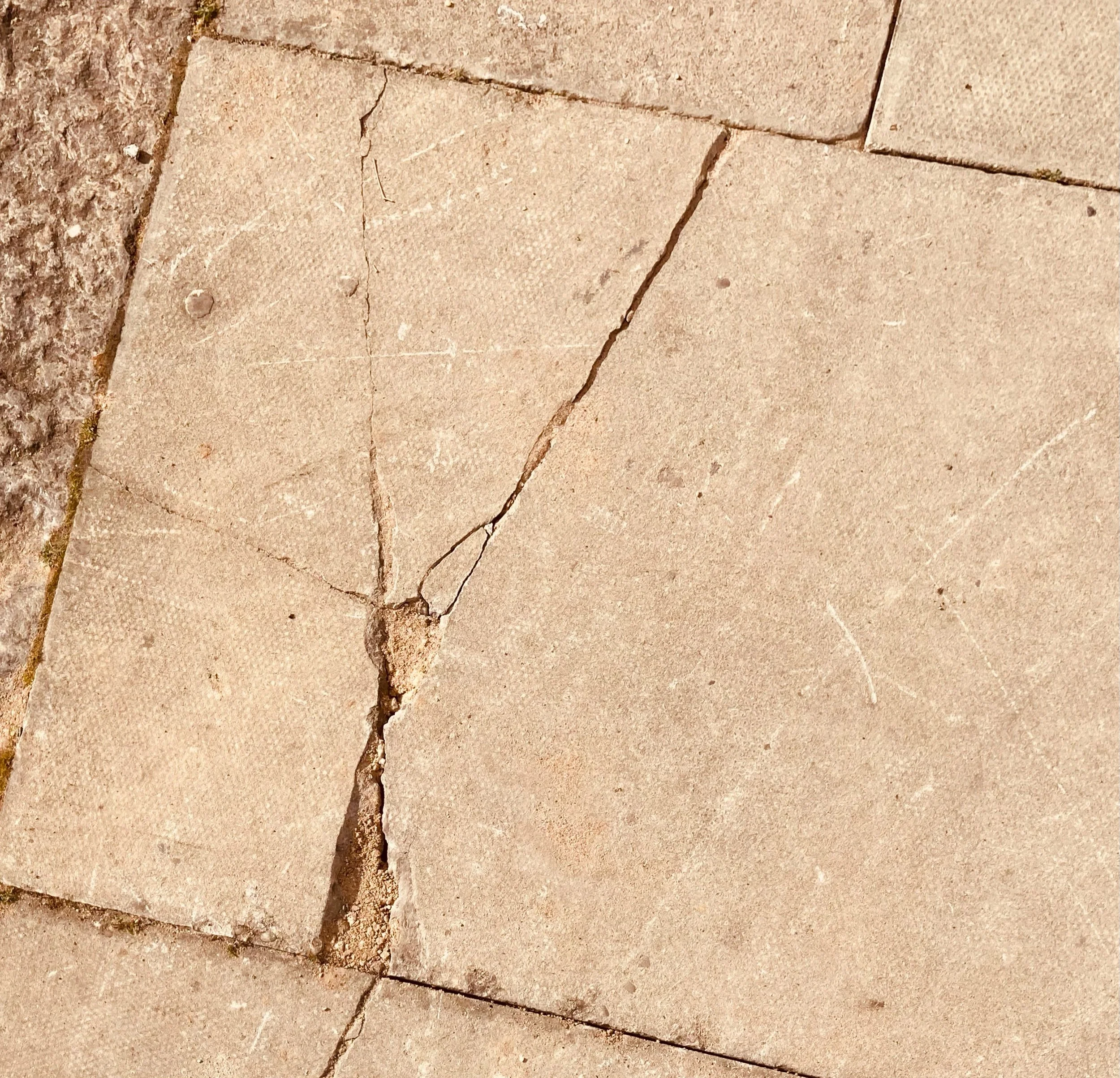 Stress linked to accelerated immune ageing