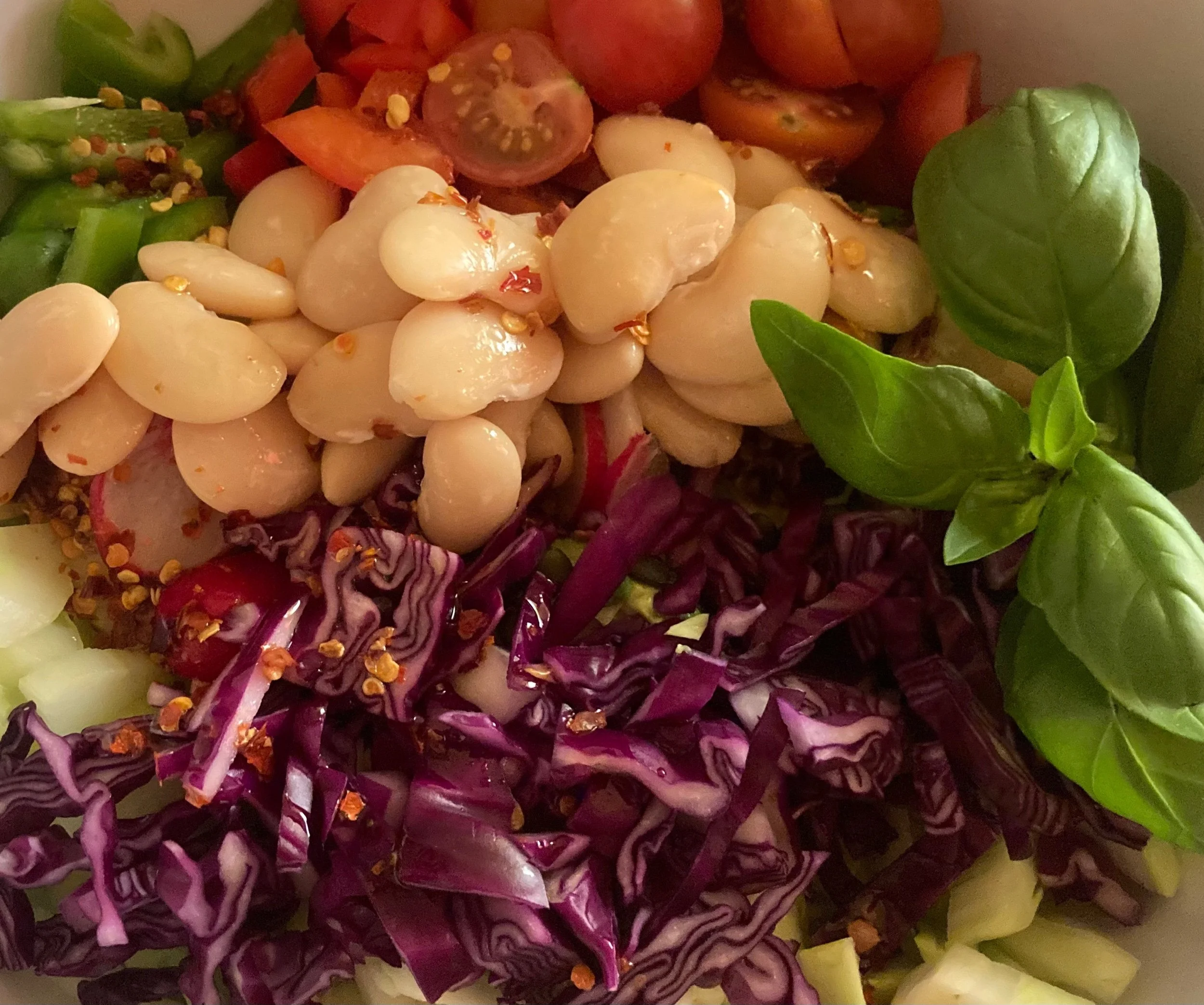 Plant-based low carbohydrate eating pattern associated with a reduction in cardiovascular & cancer mortality in individuals with type 2 diabetes