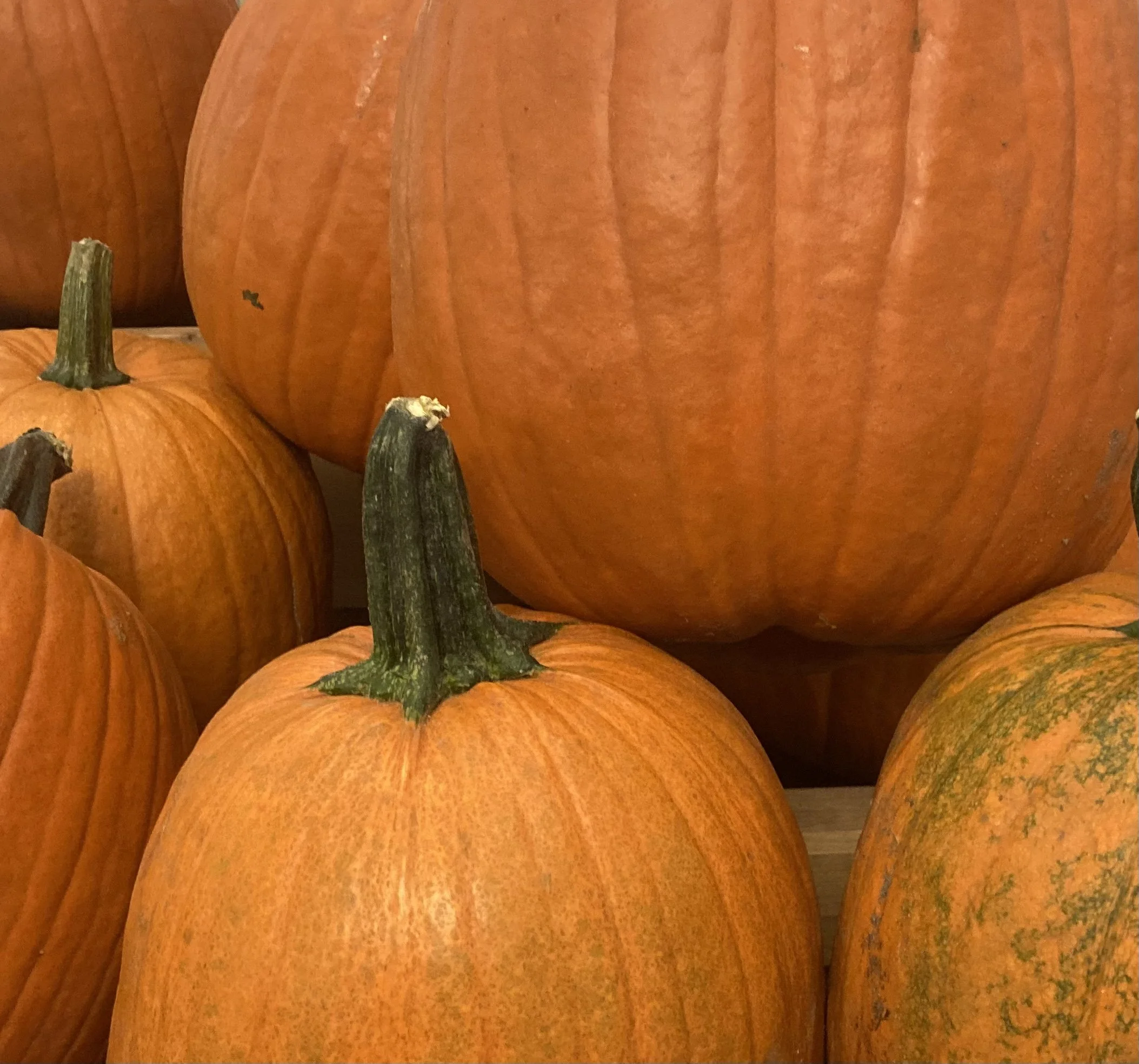 Beauty benefits of pumpkins