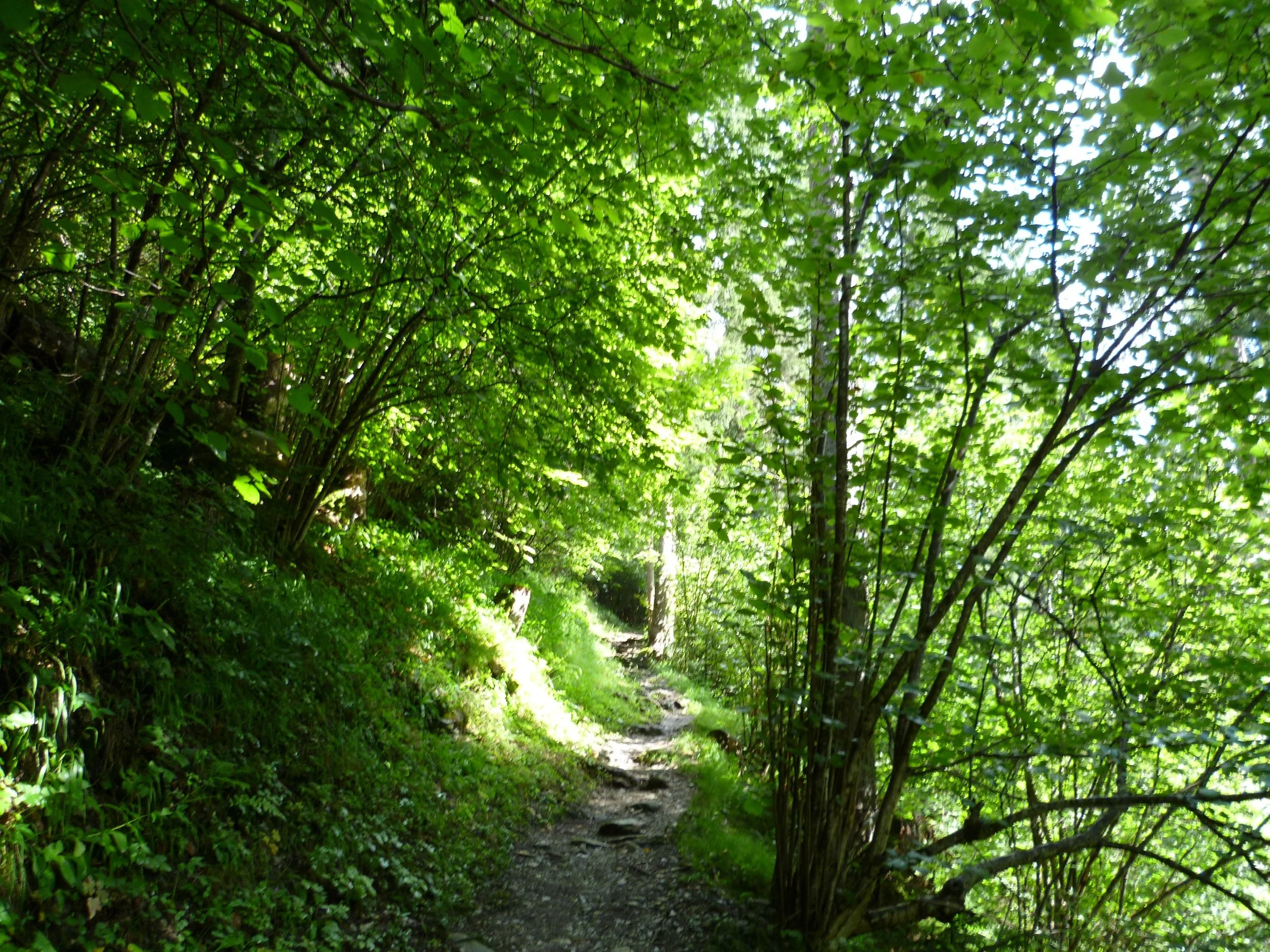 Study finds women living in more walkable neighbourhoods found to have lower rates of obesity related cancers