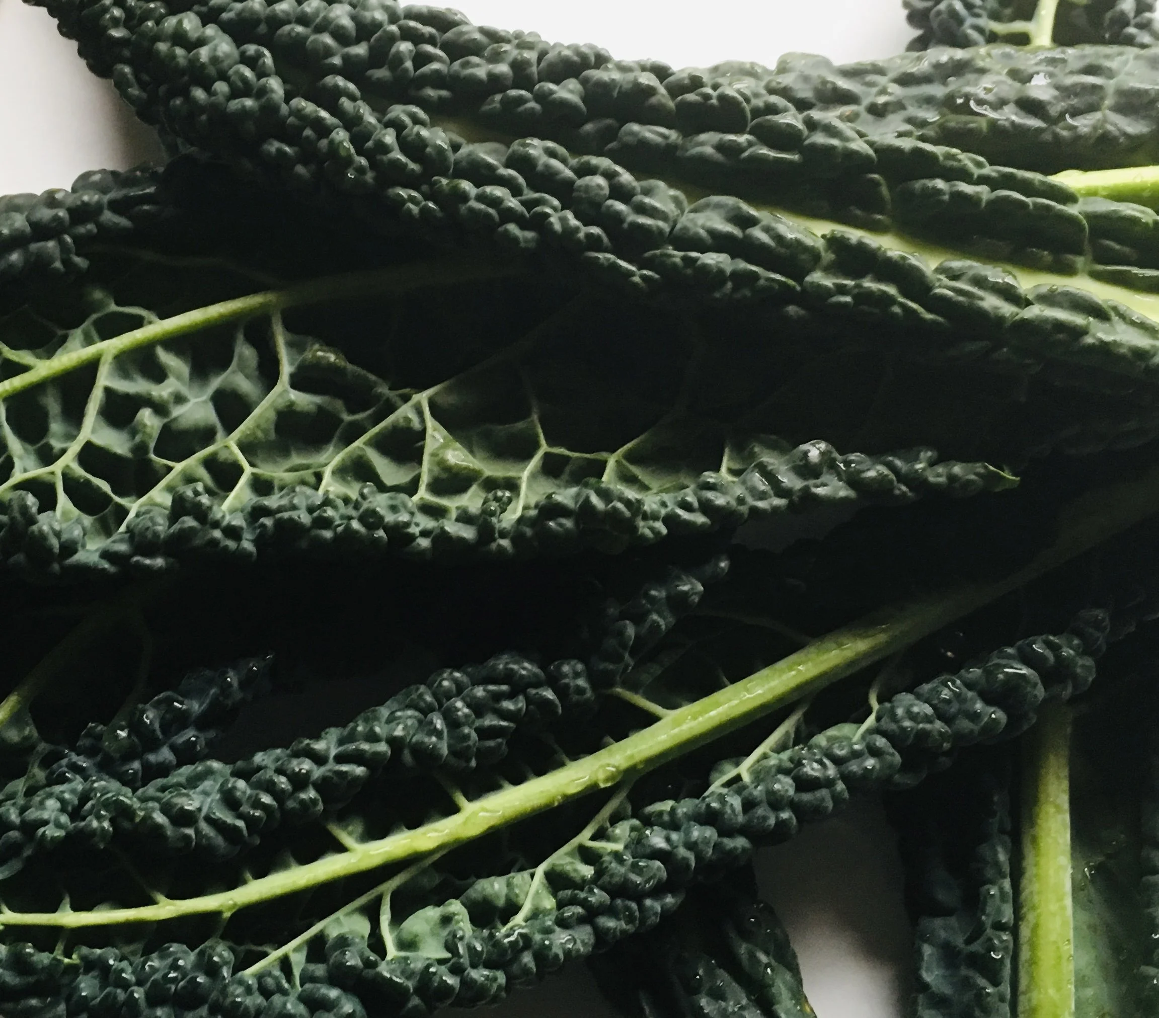 Leafy greens cut colorectal cancer risk