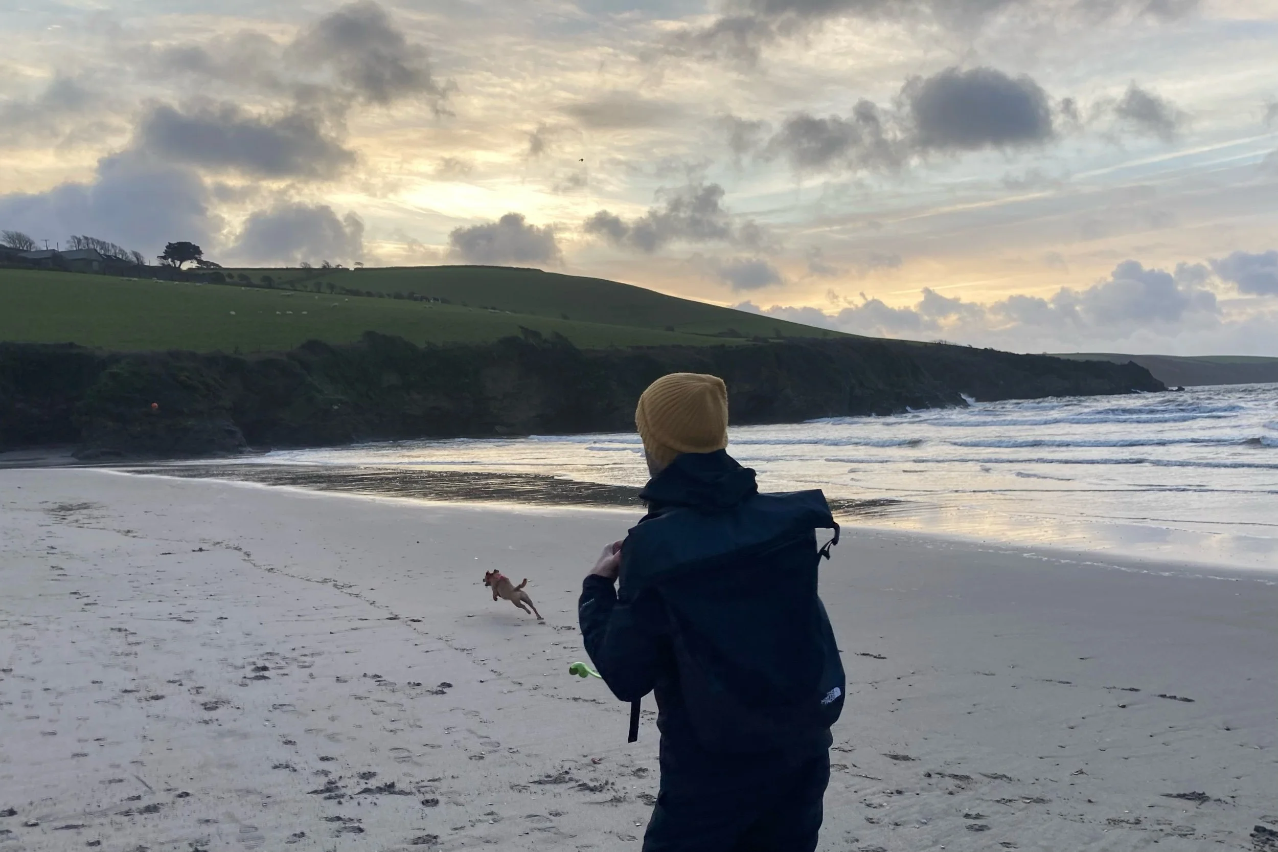 Owning a pet slows cognitive decline for older adults living alone