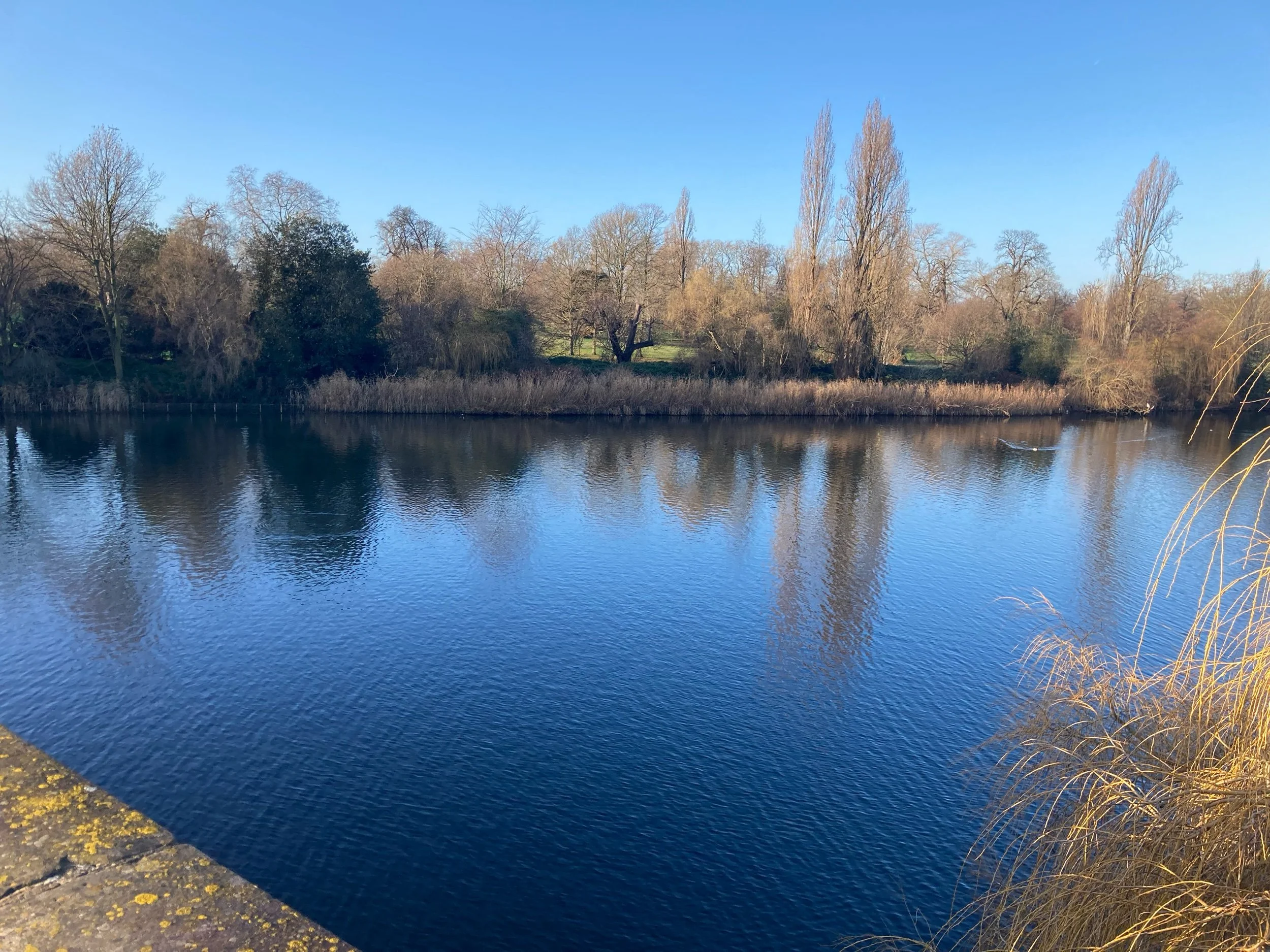 Mental and physical health benefits for older people living close to green and blue spaces in urban areas