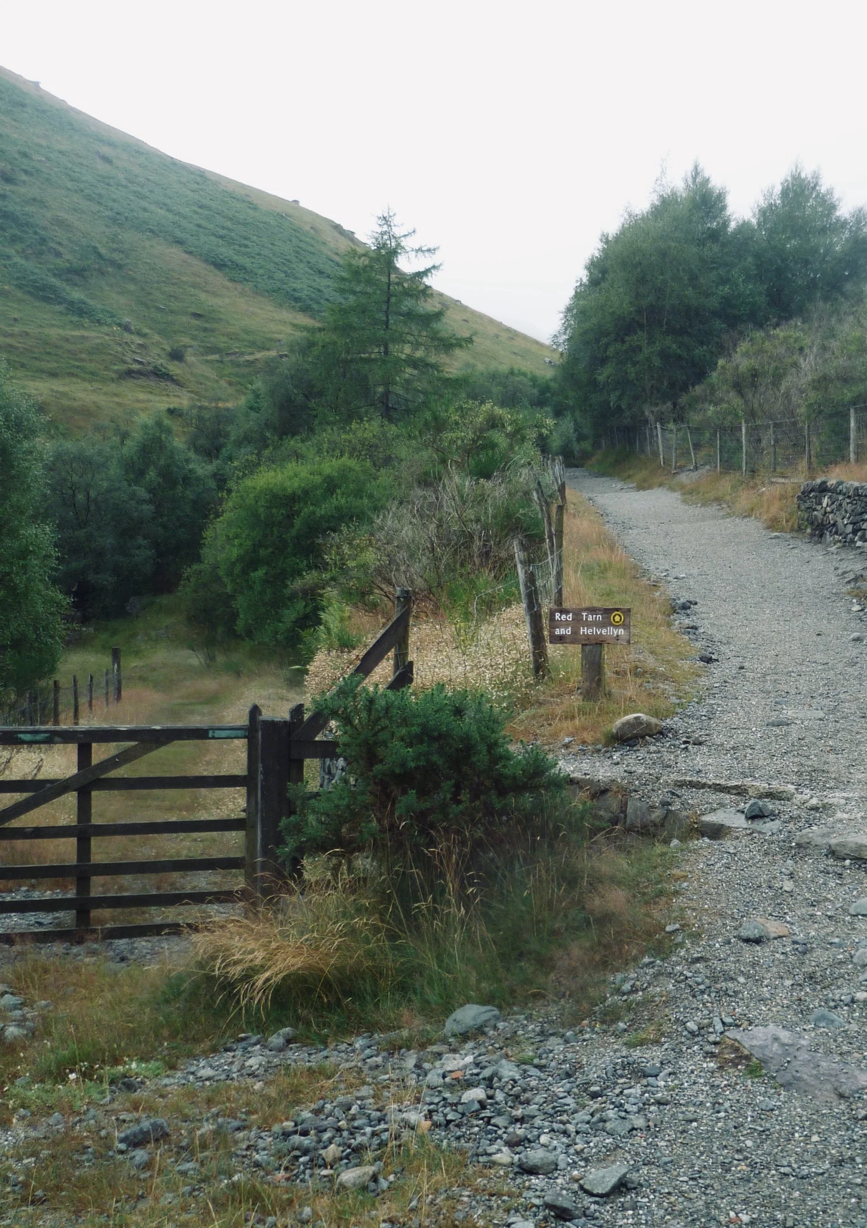 The ability to walk 1 kilometre comfortably can help predict the risk of fracture