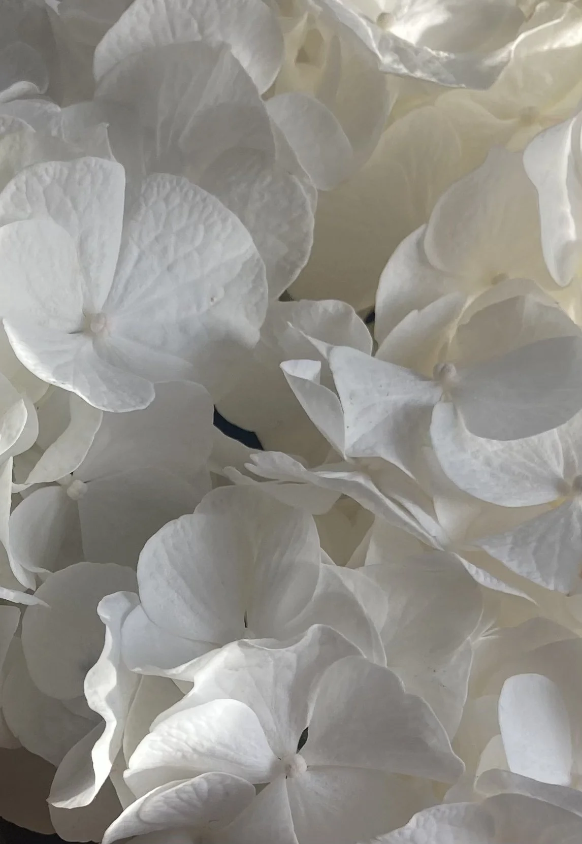 Mindfulness for improving body image