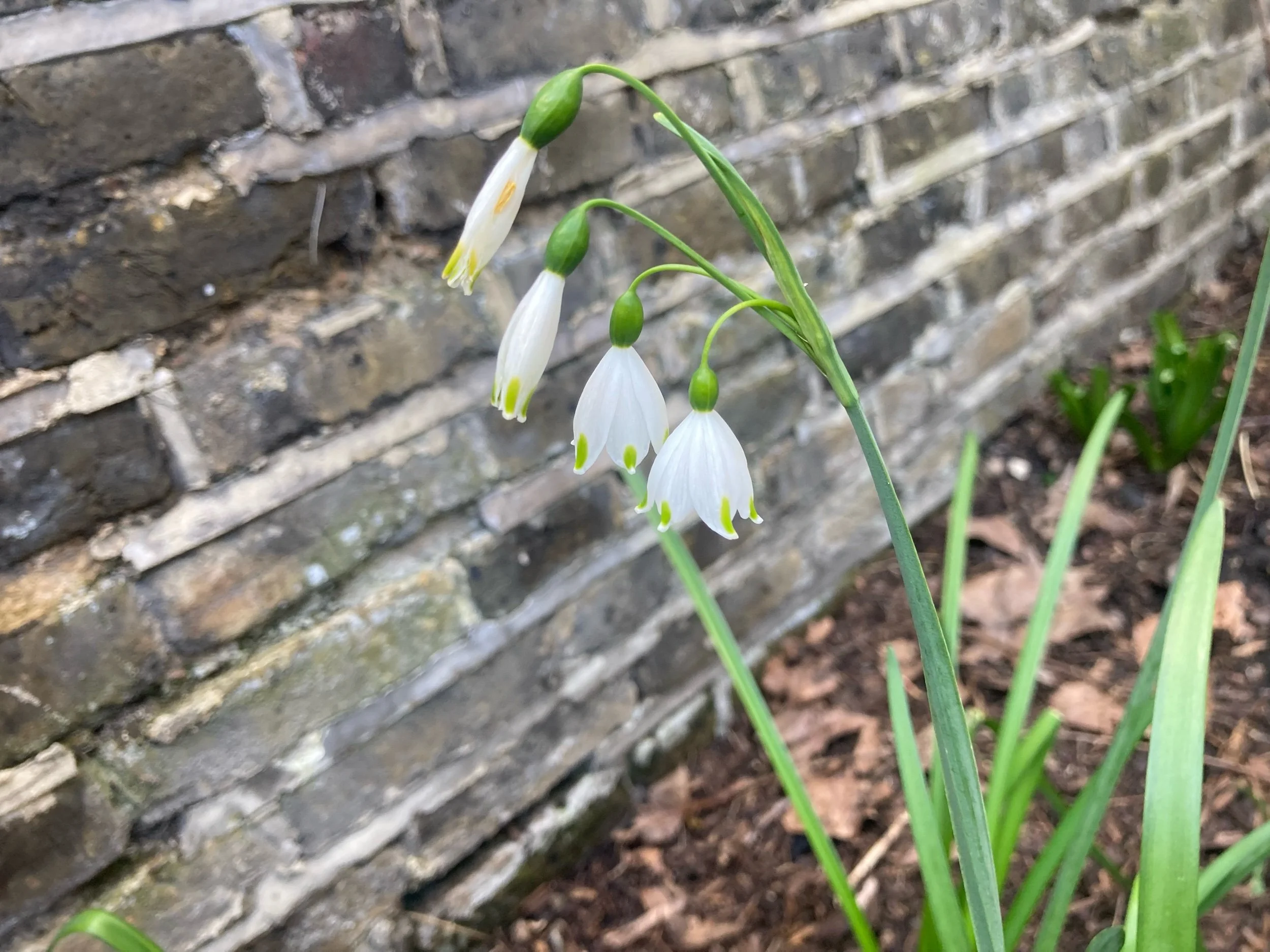 Spring clean your health