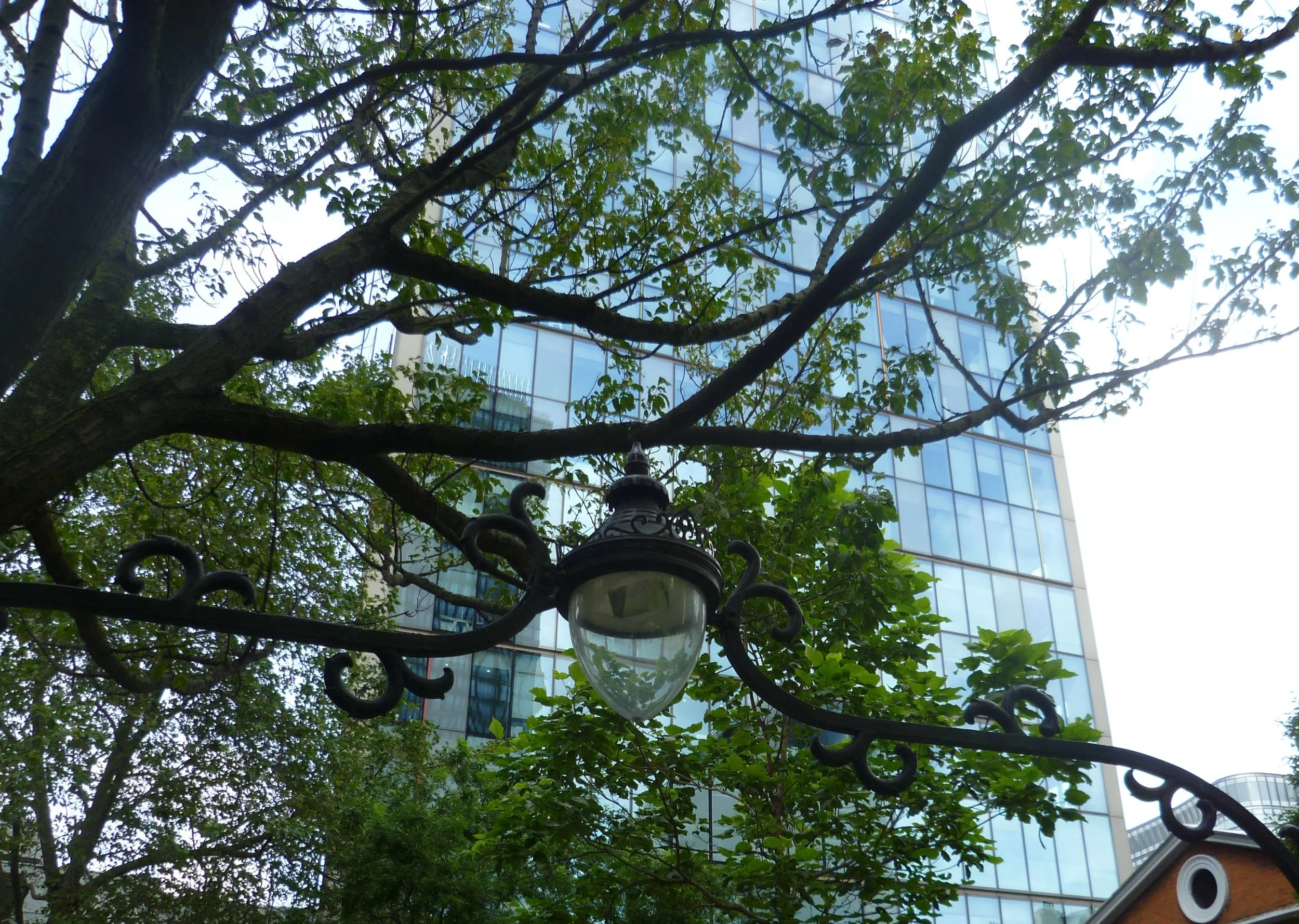 Living on a greener street or having views of blue spaces from home improves sleep
