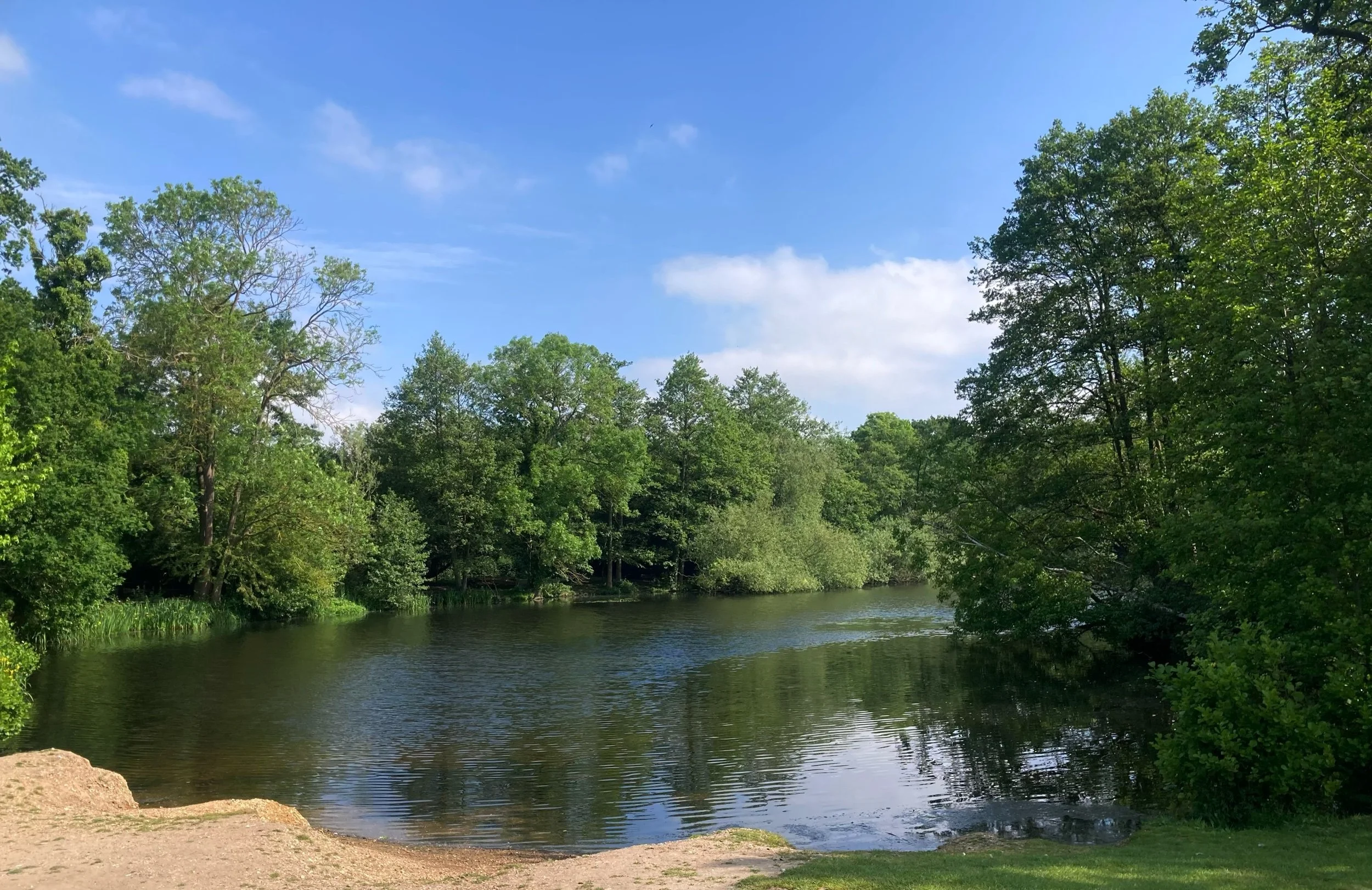 New meta-analysis finds spending time outside in nature has benefits for those with a diagnosed mental illness