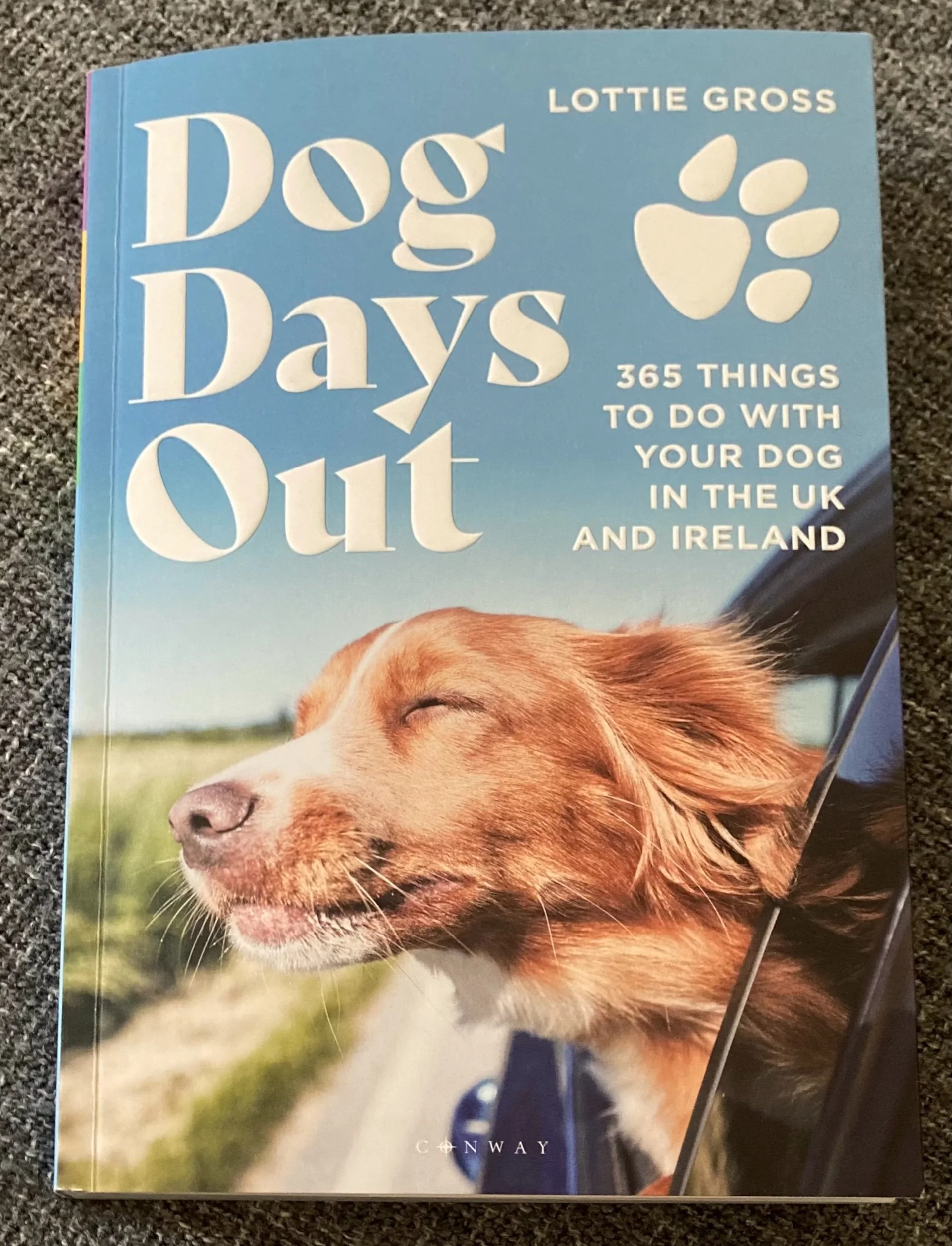 Dog Days Out