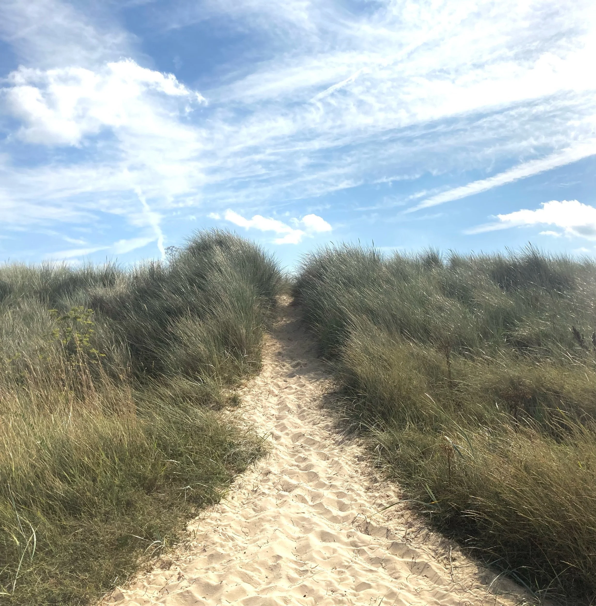 Physical activity and mental health