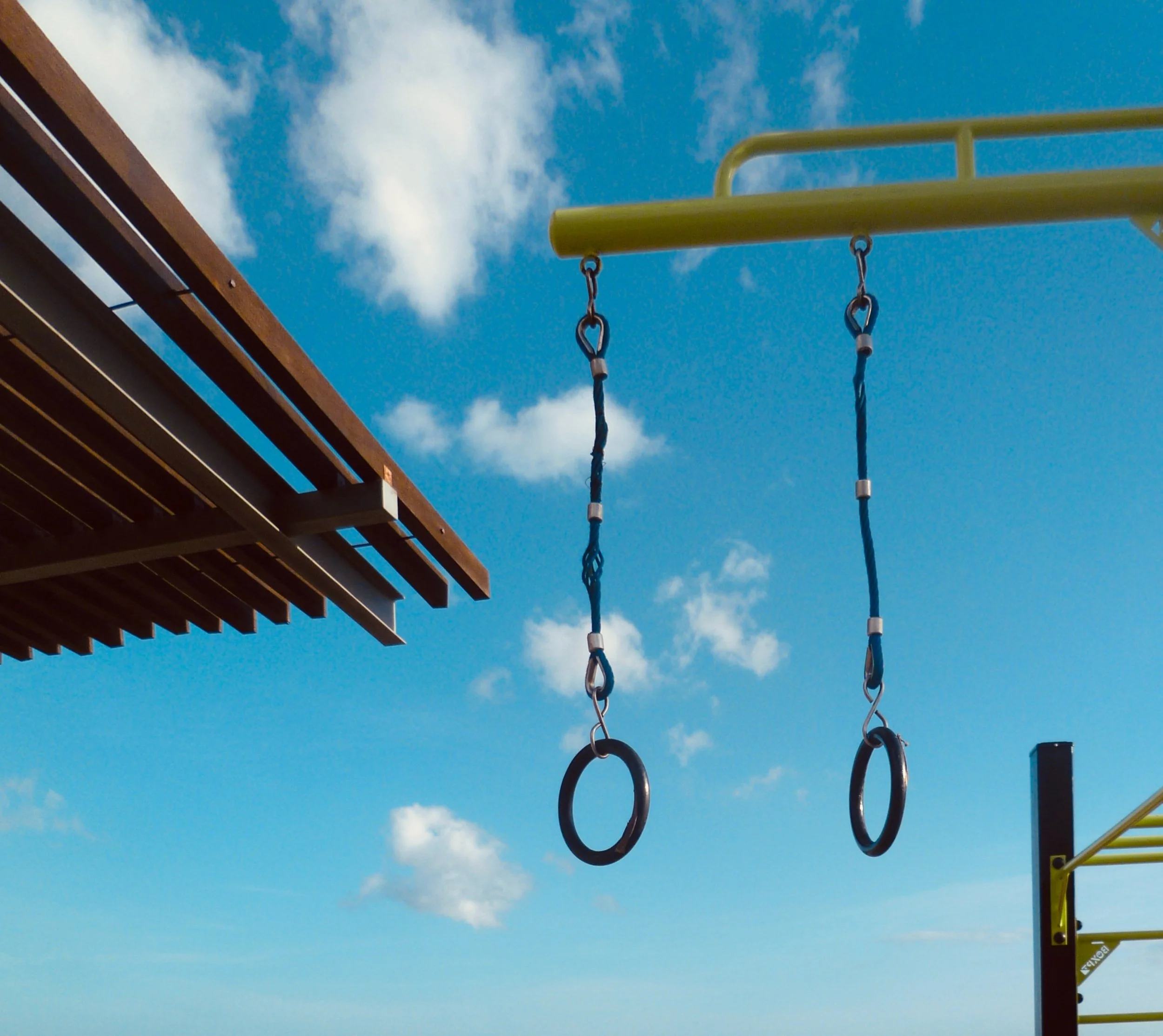 When muscles work out, they help neurons to grow