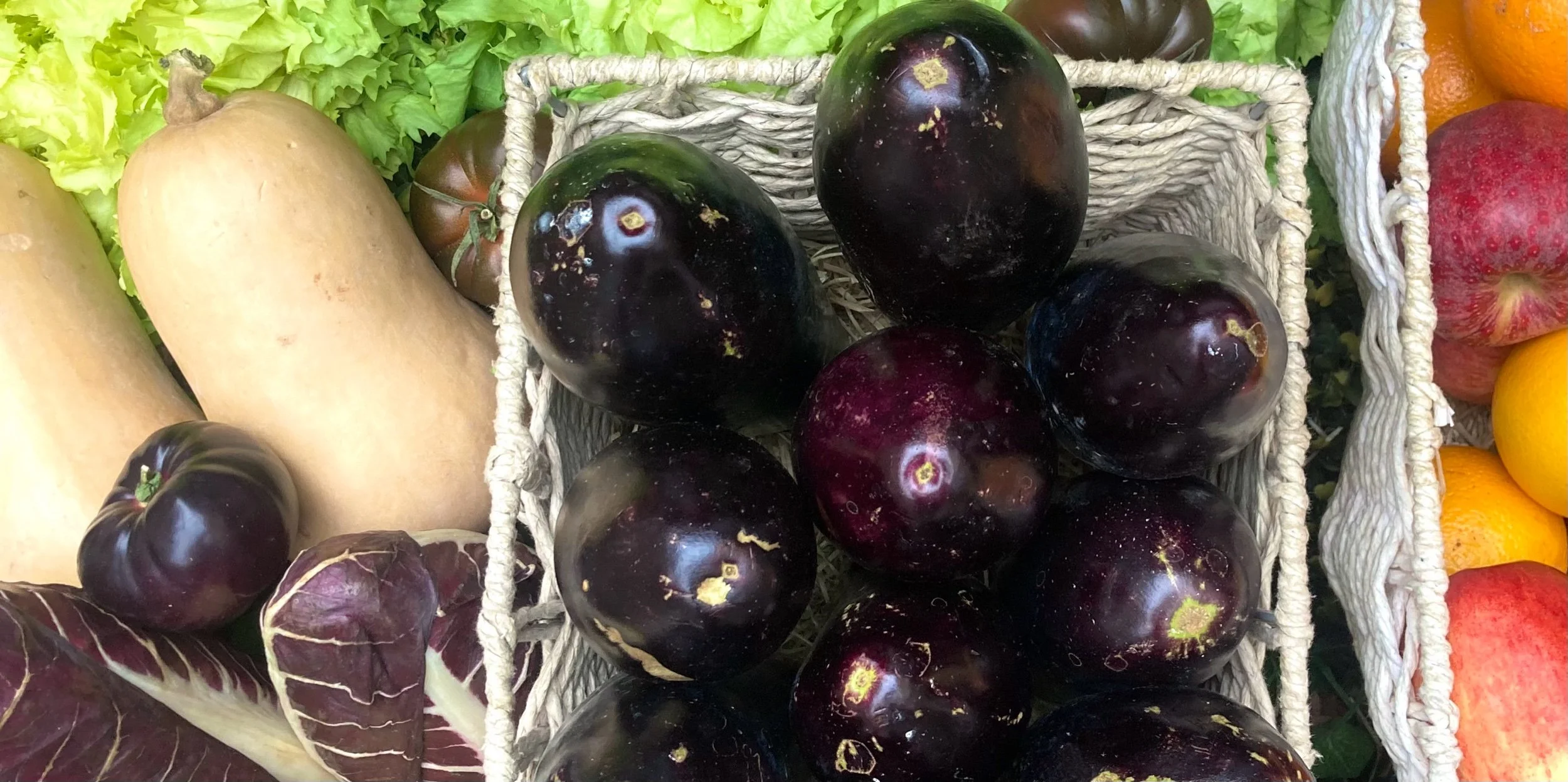 Fibre helps to protect against infections