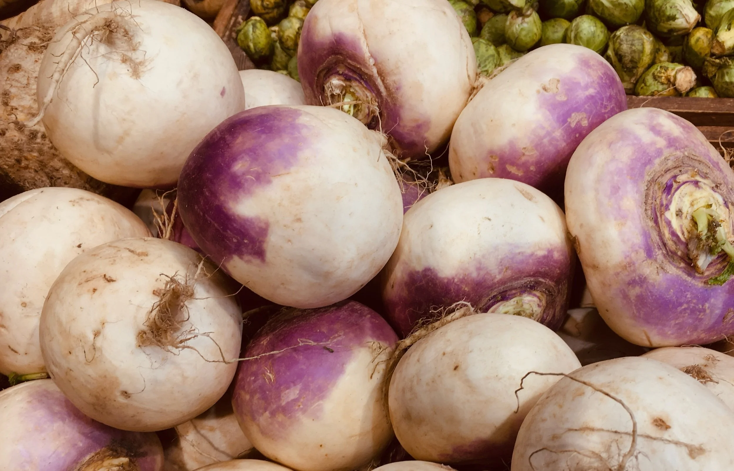 Study links the consumption of fibre to epigenetic changes with anti-cancer effects 