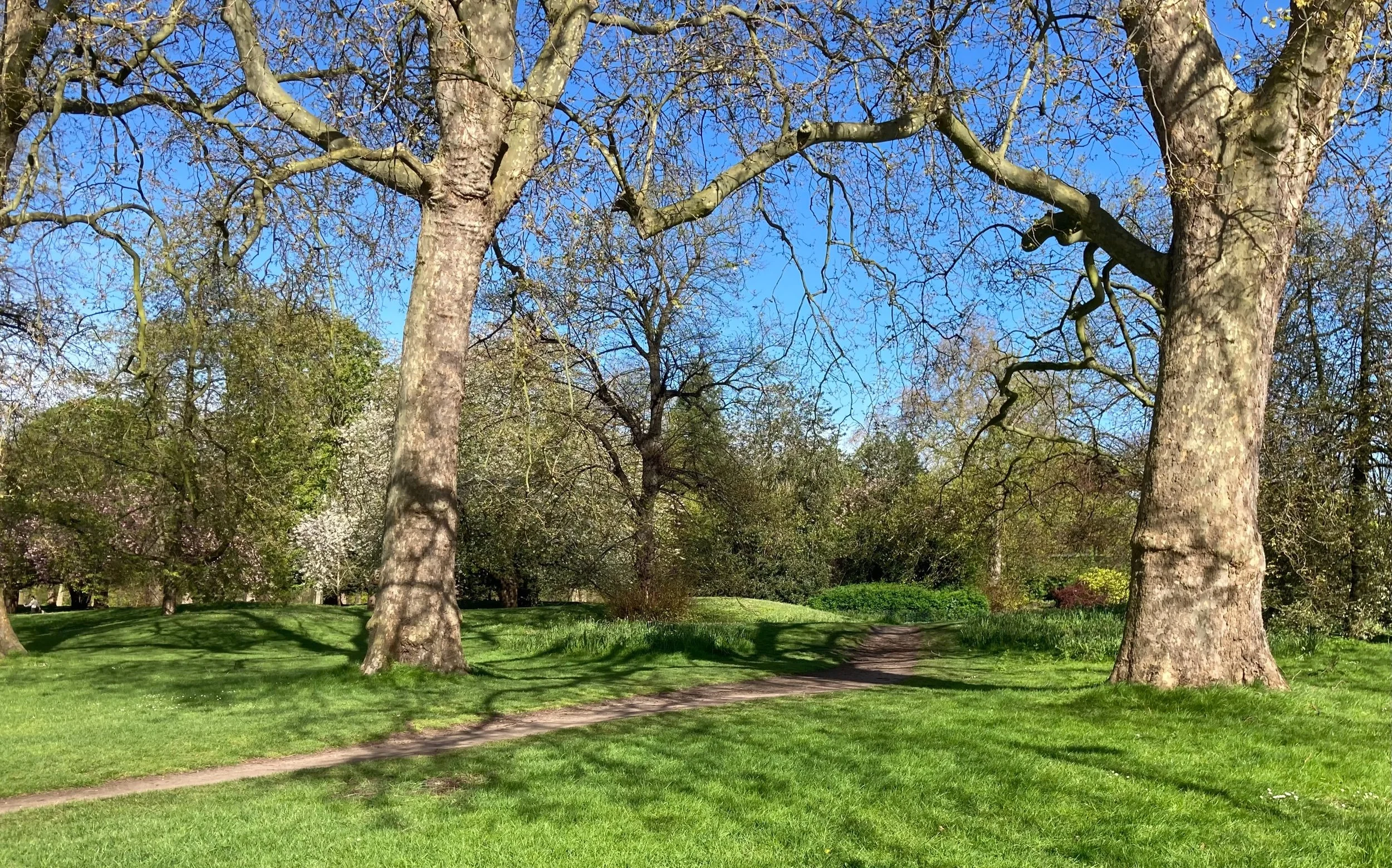 Just a small increase in greenspace associated with fewer preventable deaths in deprived neighbourhoods 