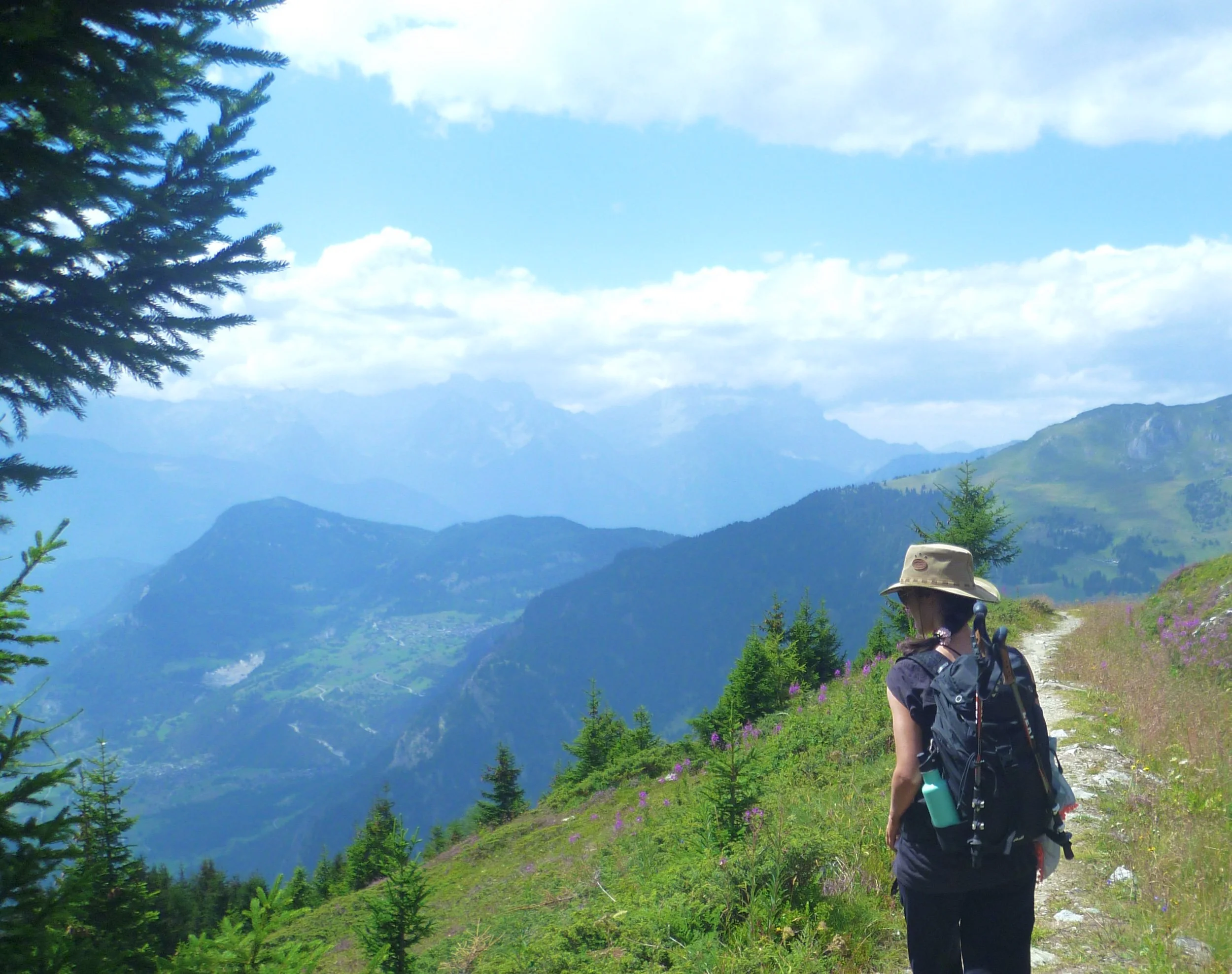Walking and moving more lowers the risk of cardiovascular death for post menopausal women with a history of cancer