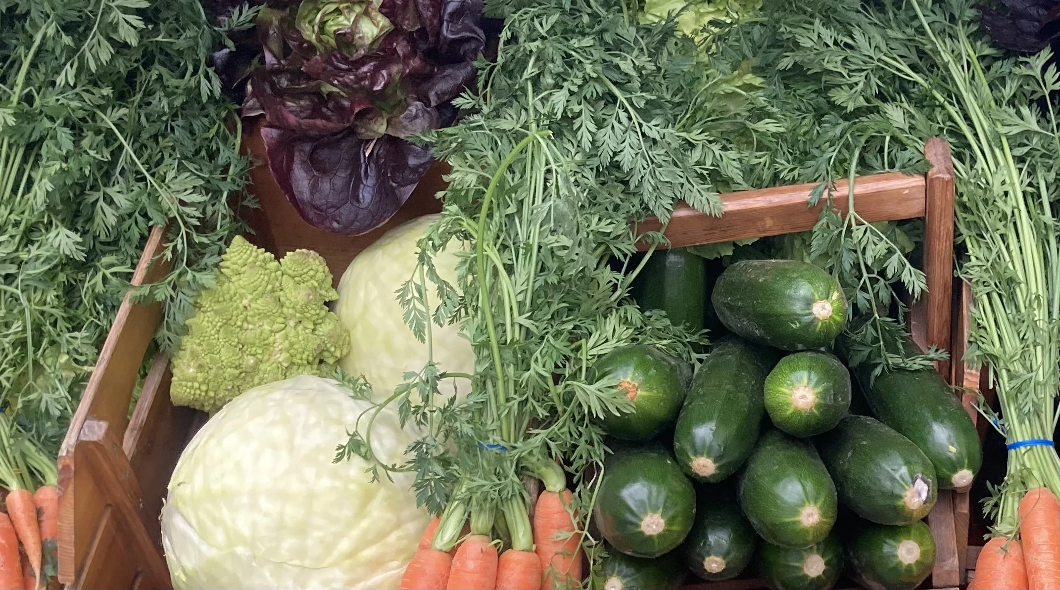 A healthy plant-based diet linked to a lower risk of premature death in people with cardio-metabolic disorders