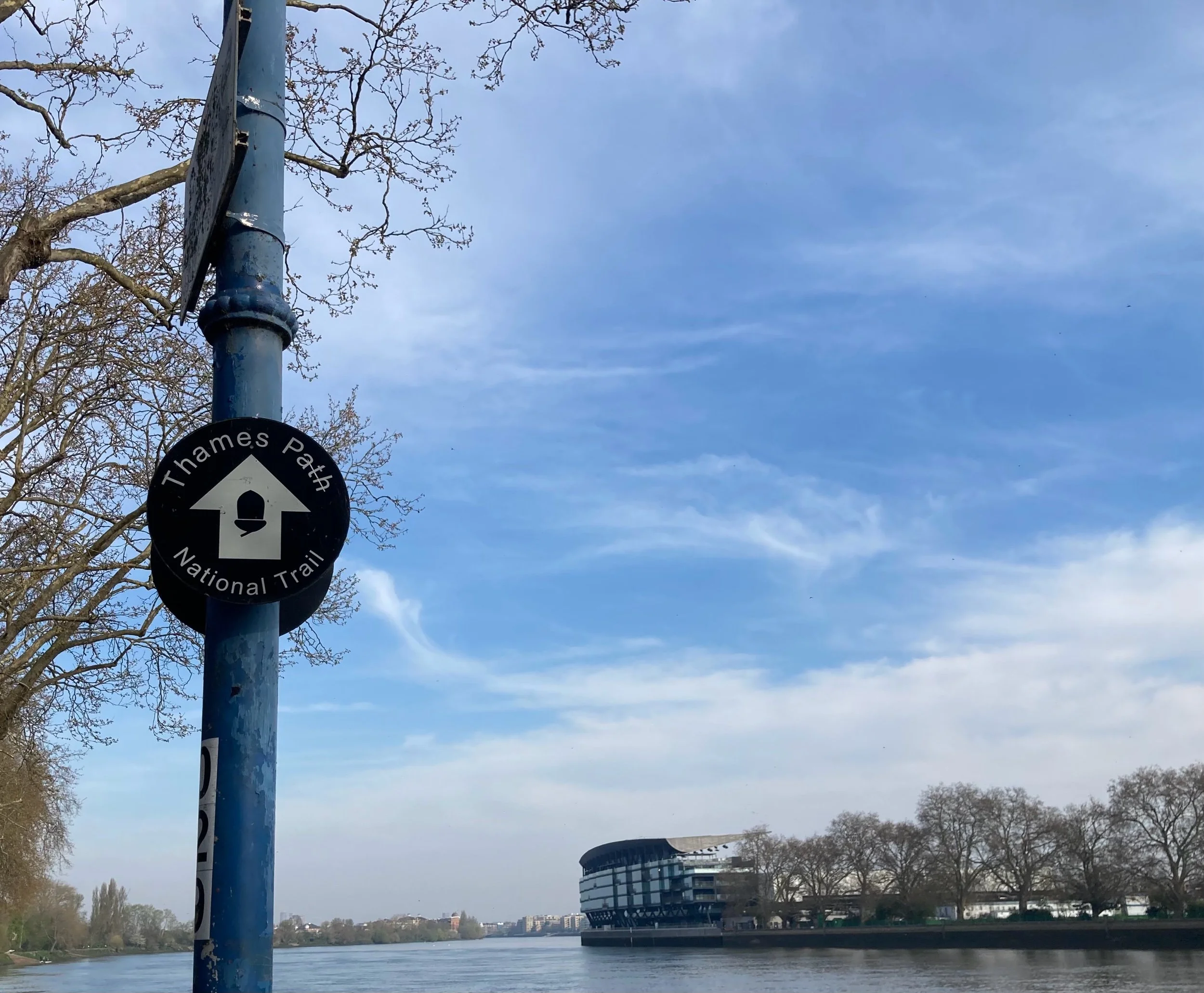 Brisk walking lowers the risk of 5 cancers 