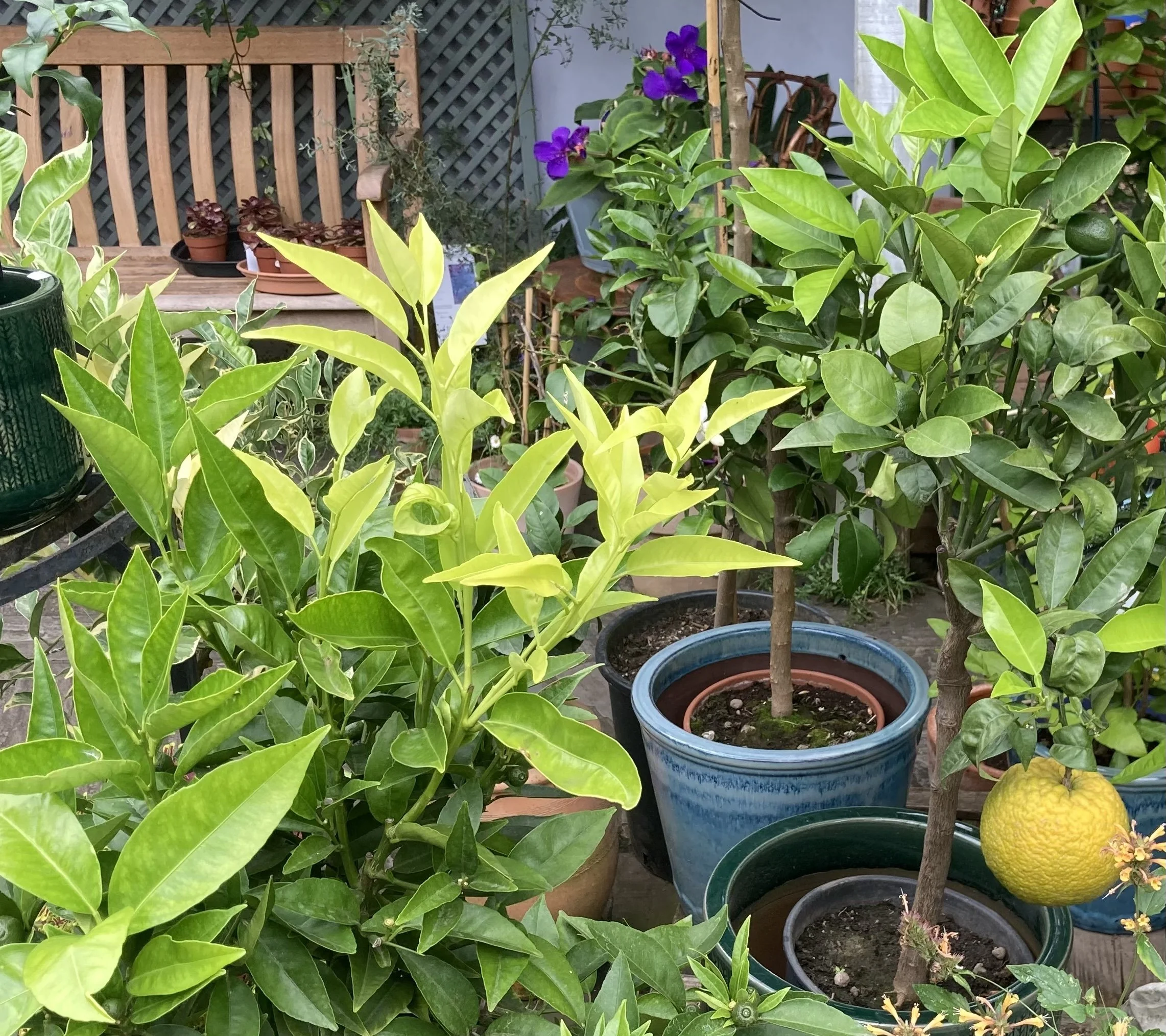 Having a sense of purpose could protect against dementia 