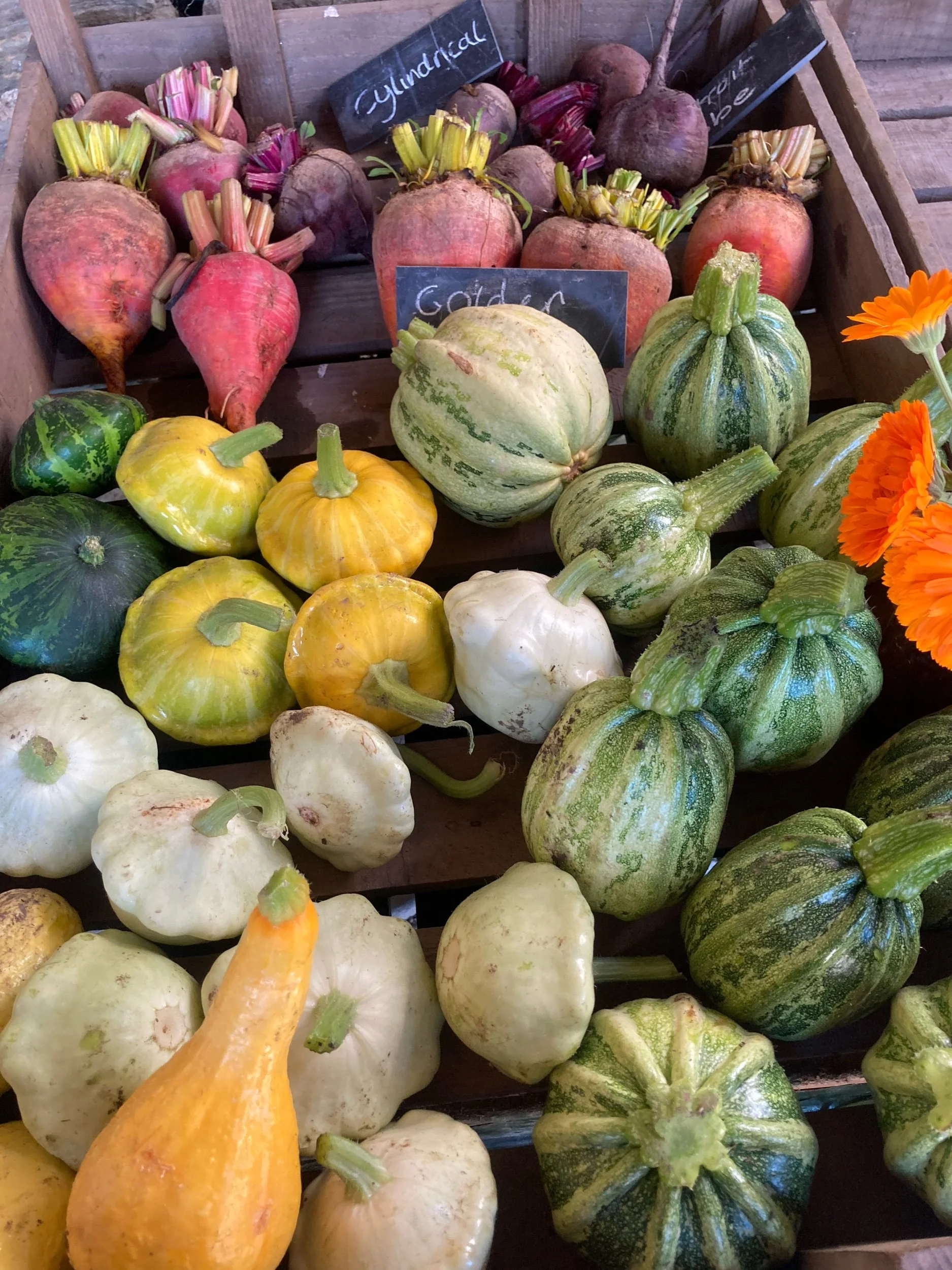 A plant-based diet found to lower the risk of multi morbidity of cancer and cardiometabolic diseases