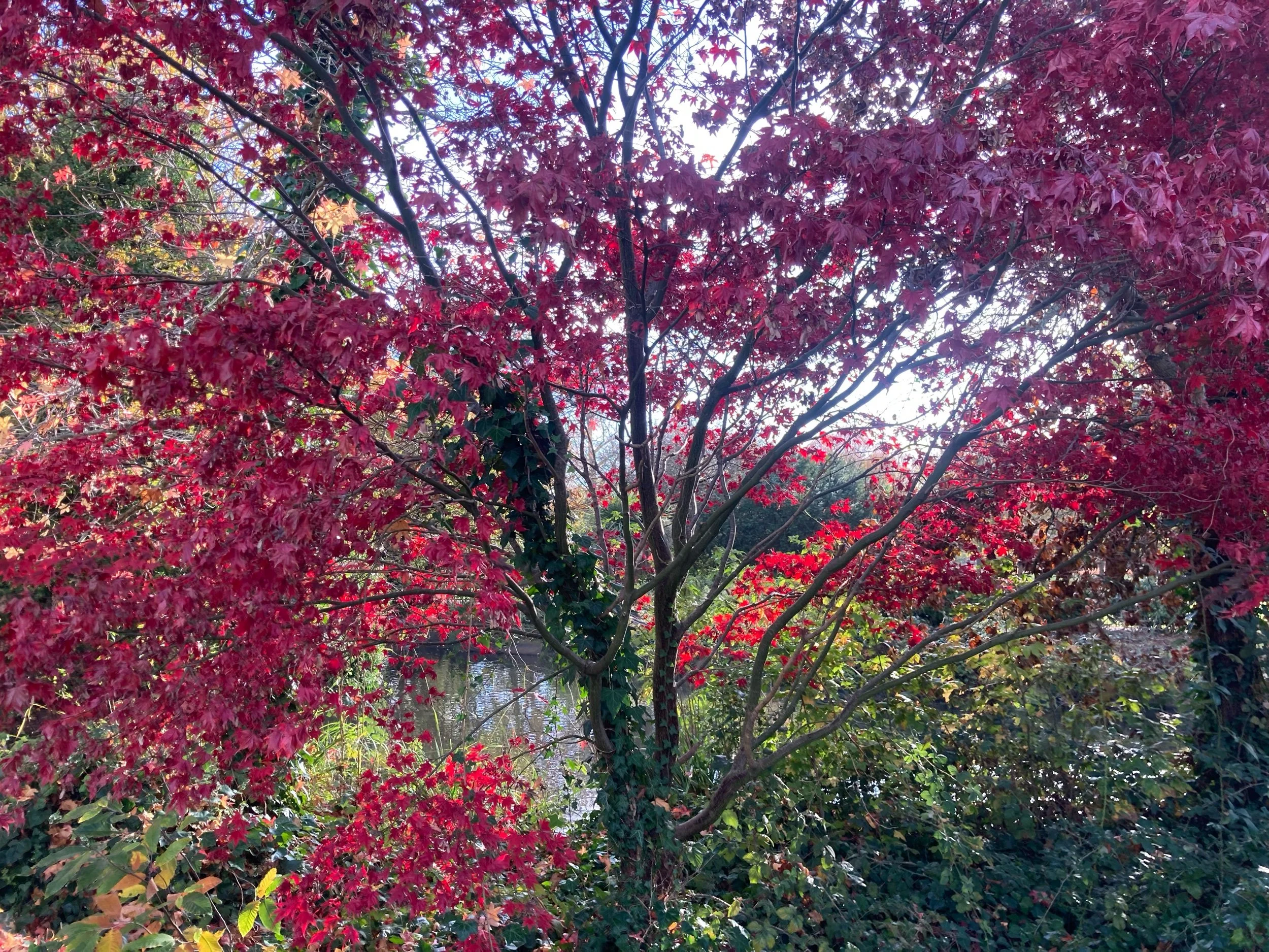 Develop a connection to nature to help reduce high cortisol levels 