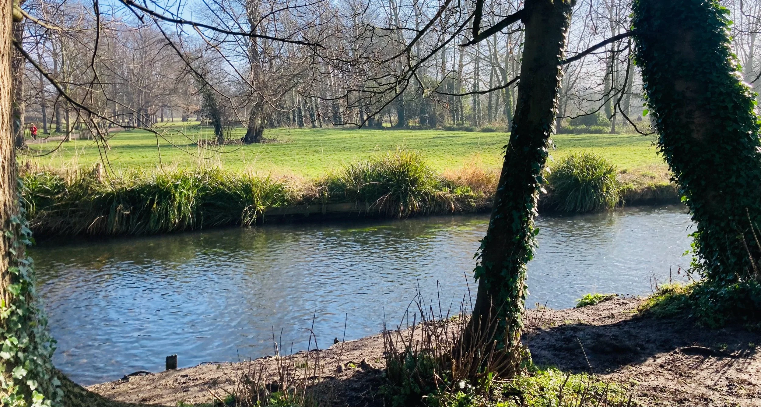 Taking a walk on the Winter Solstice has many benefits 