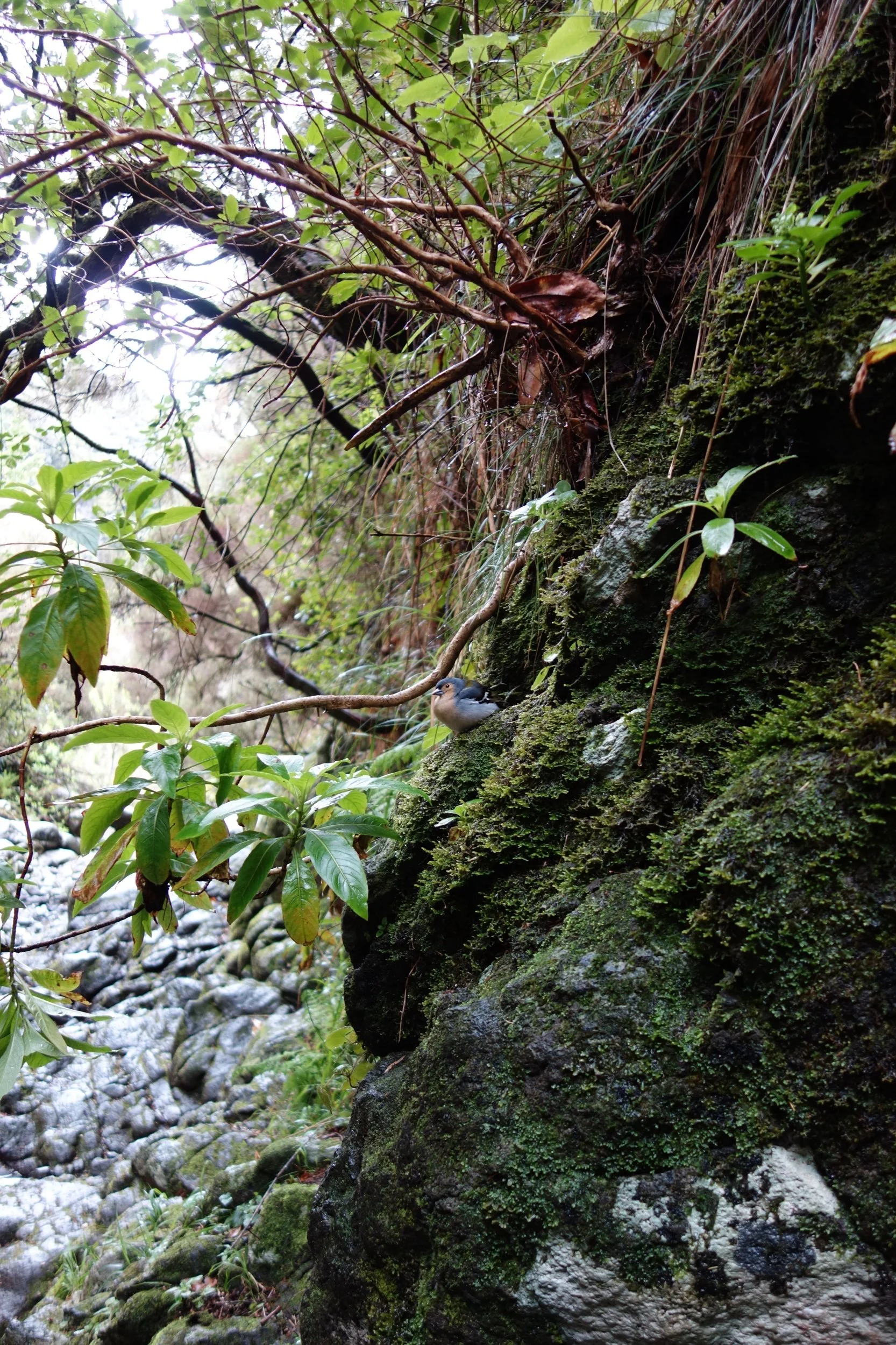 Taking part in the annual Big Garden Birdwatch this weekend supports citizen science and improves our own wellbeing 