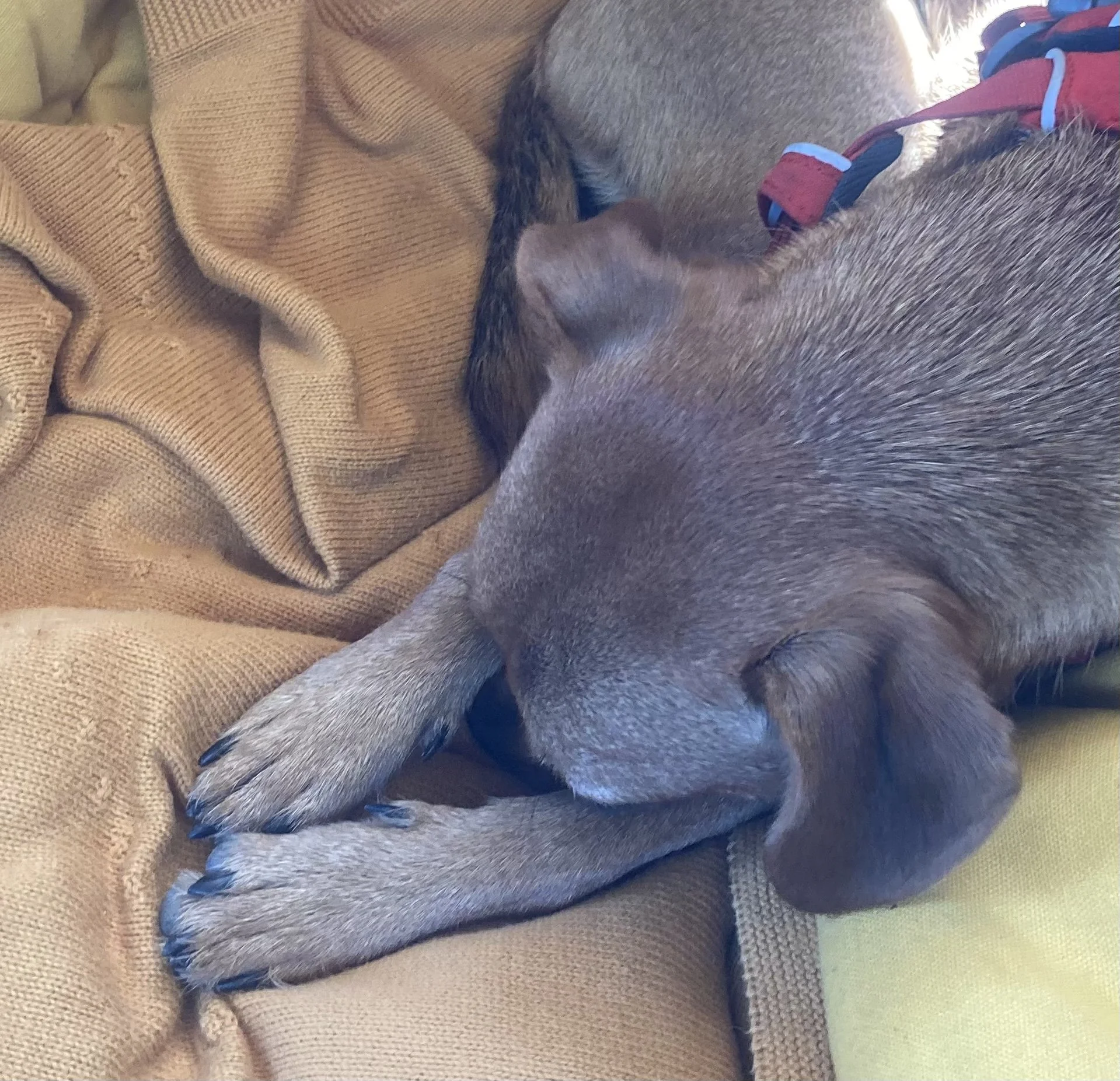 Sleep is a powerful recovery tool 