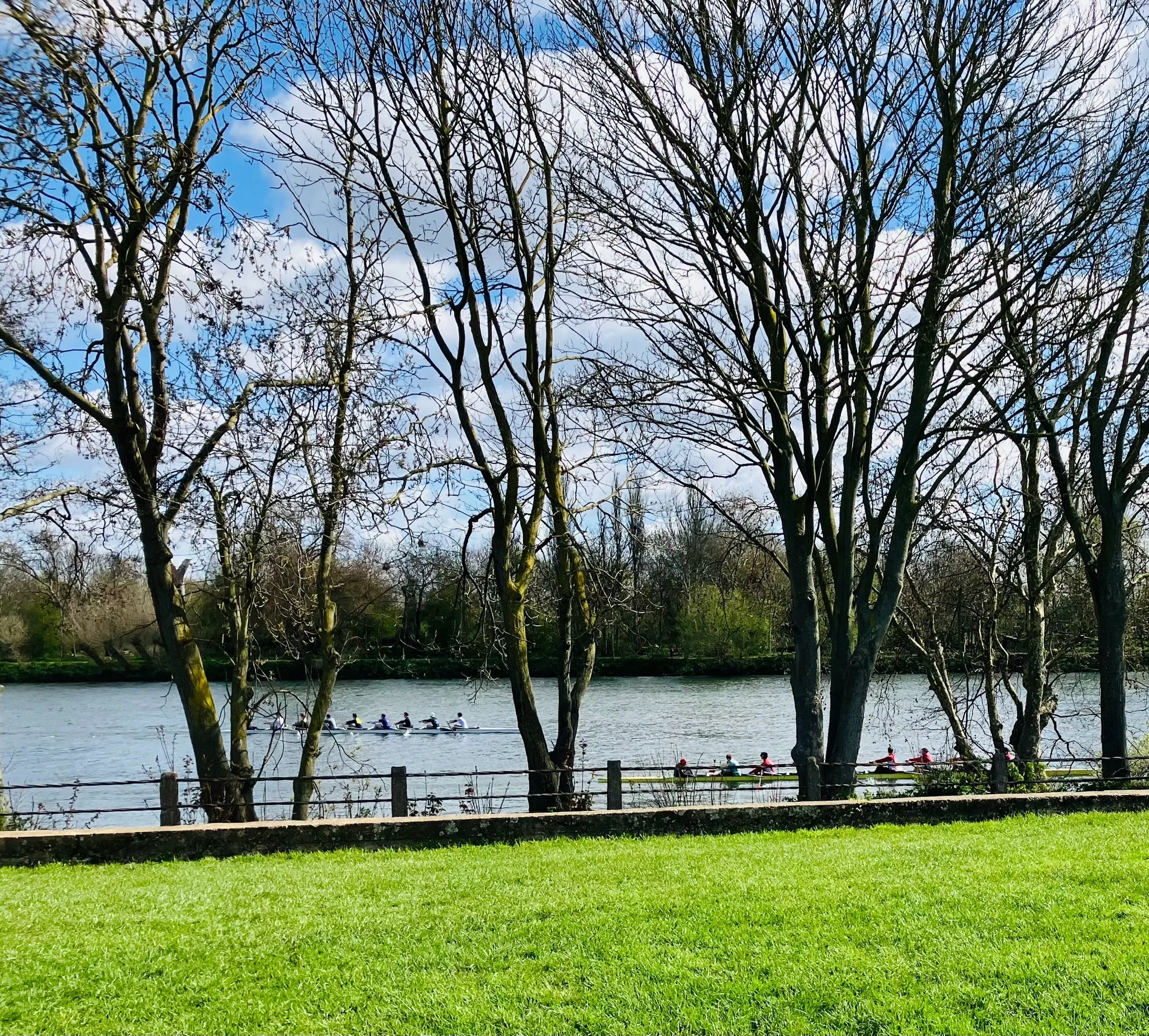 The ACE 7 Core Drivers of Healthy Living