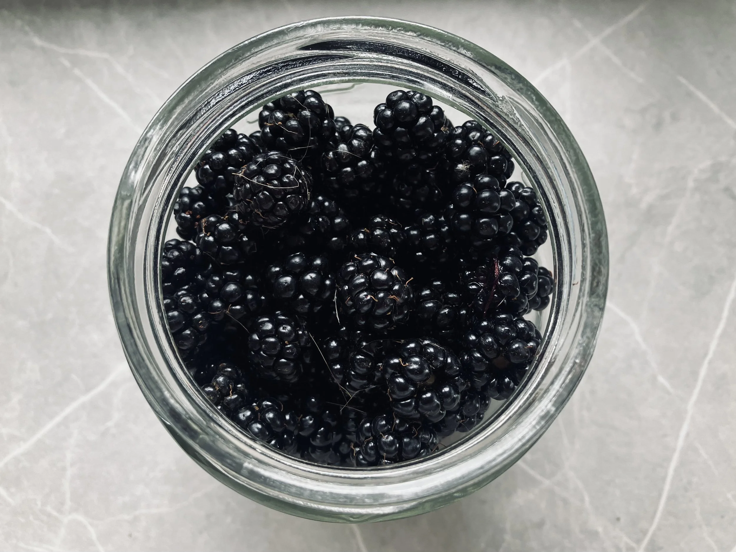 Foraged Blackberries 