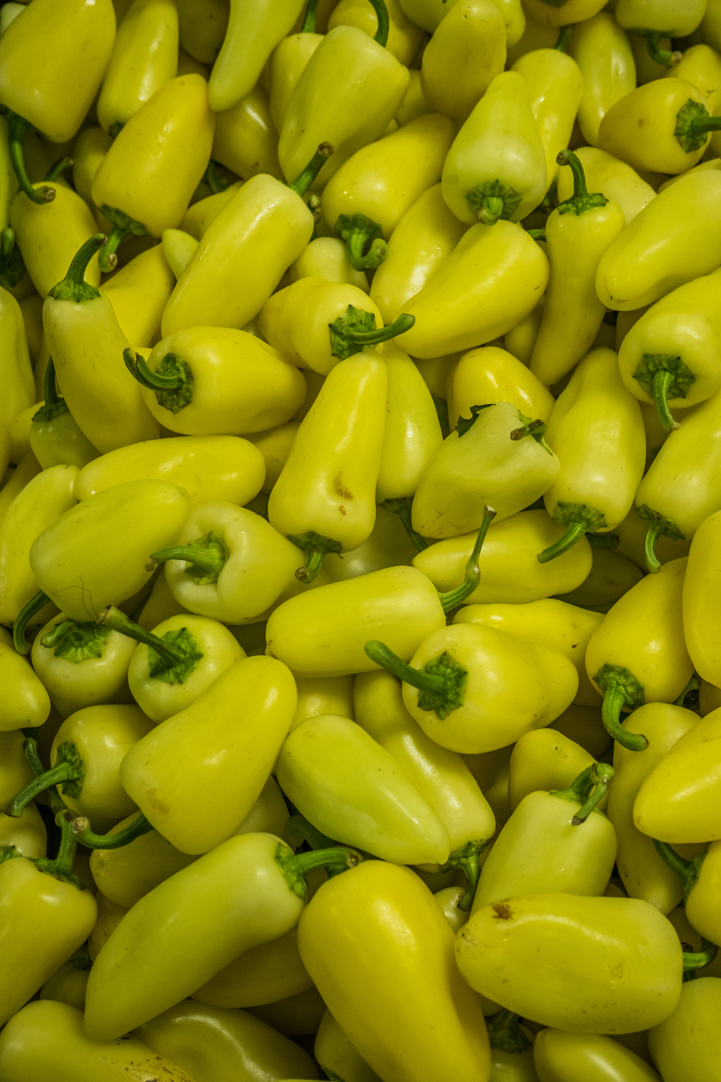 Chiles Güeros  (Copy) (Copy)