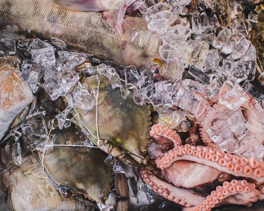 A fish and octopus on ice with crushed ice surrounding them.