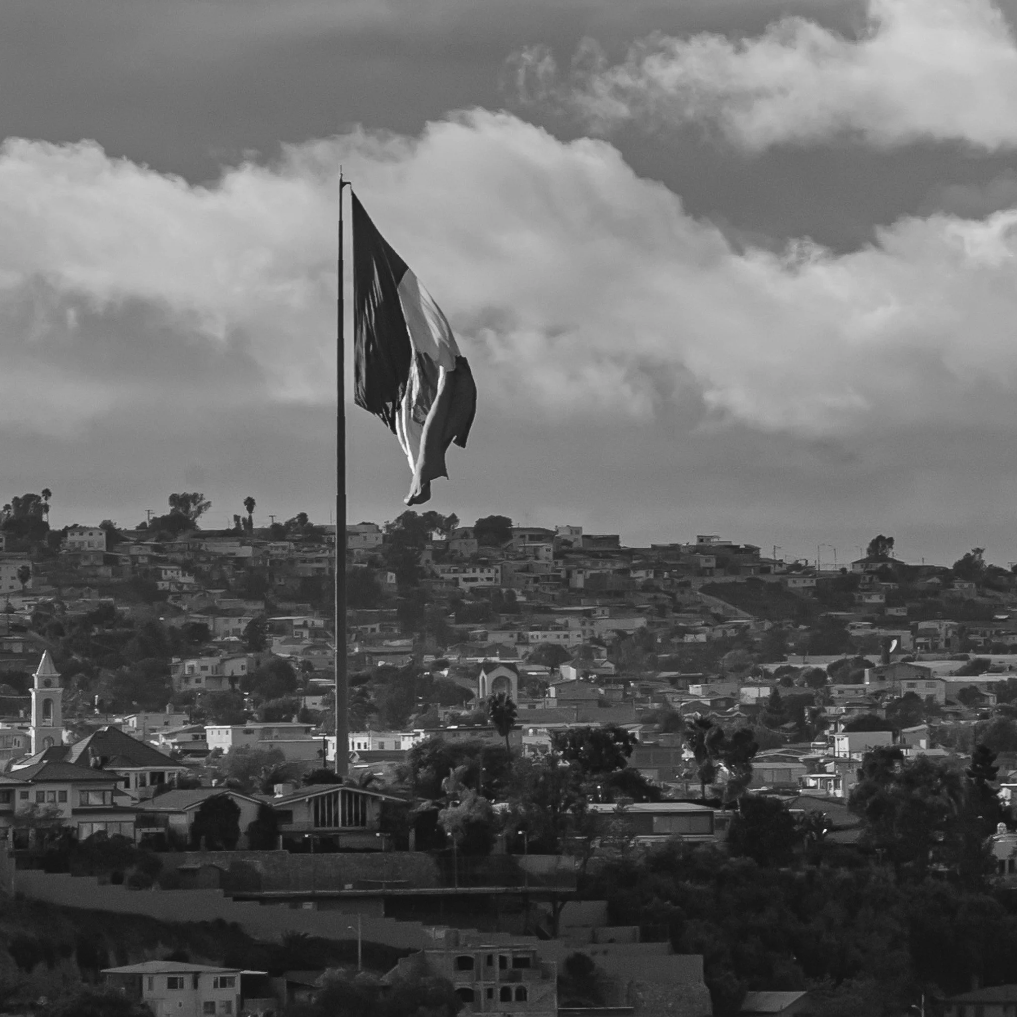 A large flag on a tall flagpole on a hillside overlooking a suburban neighborhood with houses and trees, under a cloudy sky.