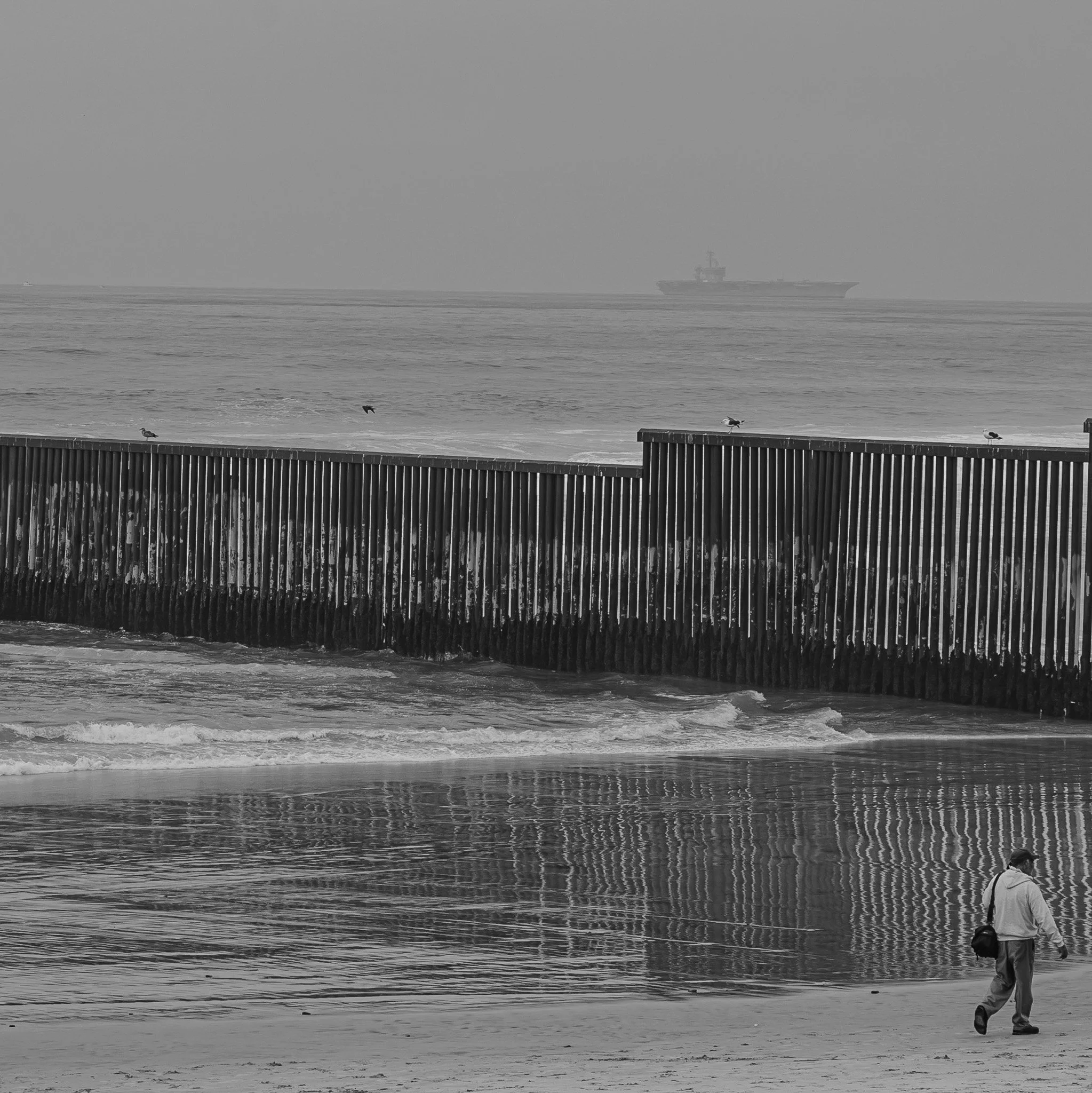 A person walking along a beach near a large metal barrier in the water, with seagulls perched on it and a large ship in the distance on the ocean.