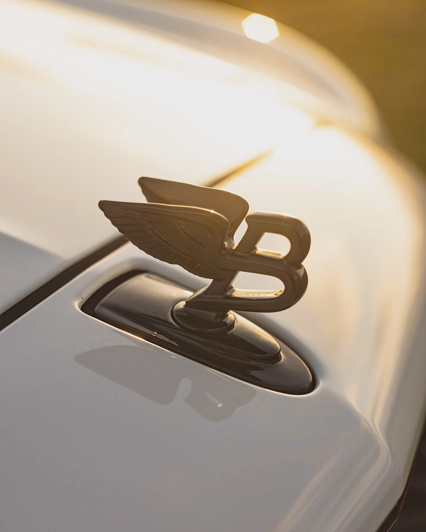 Close-up of a vintage car hood ornament featuring a stylized flying winged 'S' on a white car.