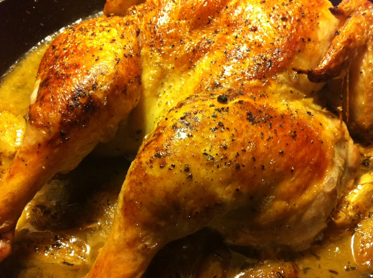 chicken.jpg