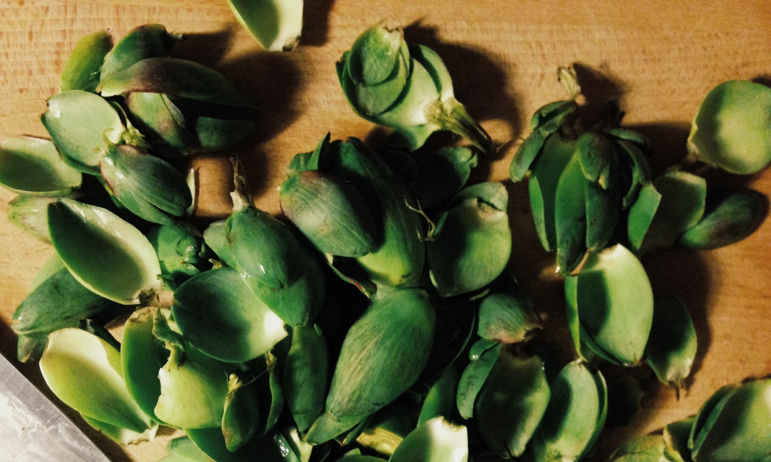 artichokes.jpg