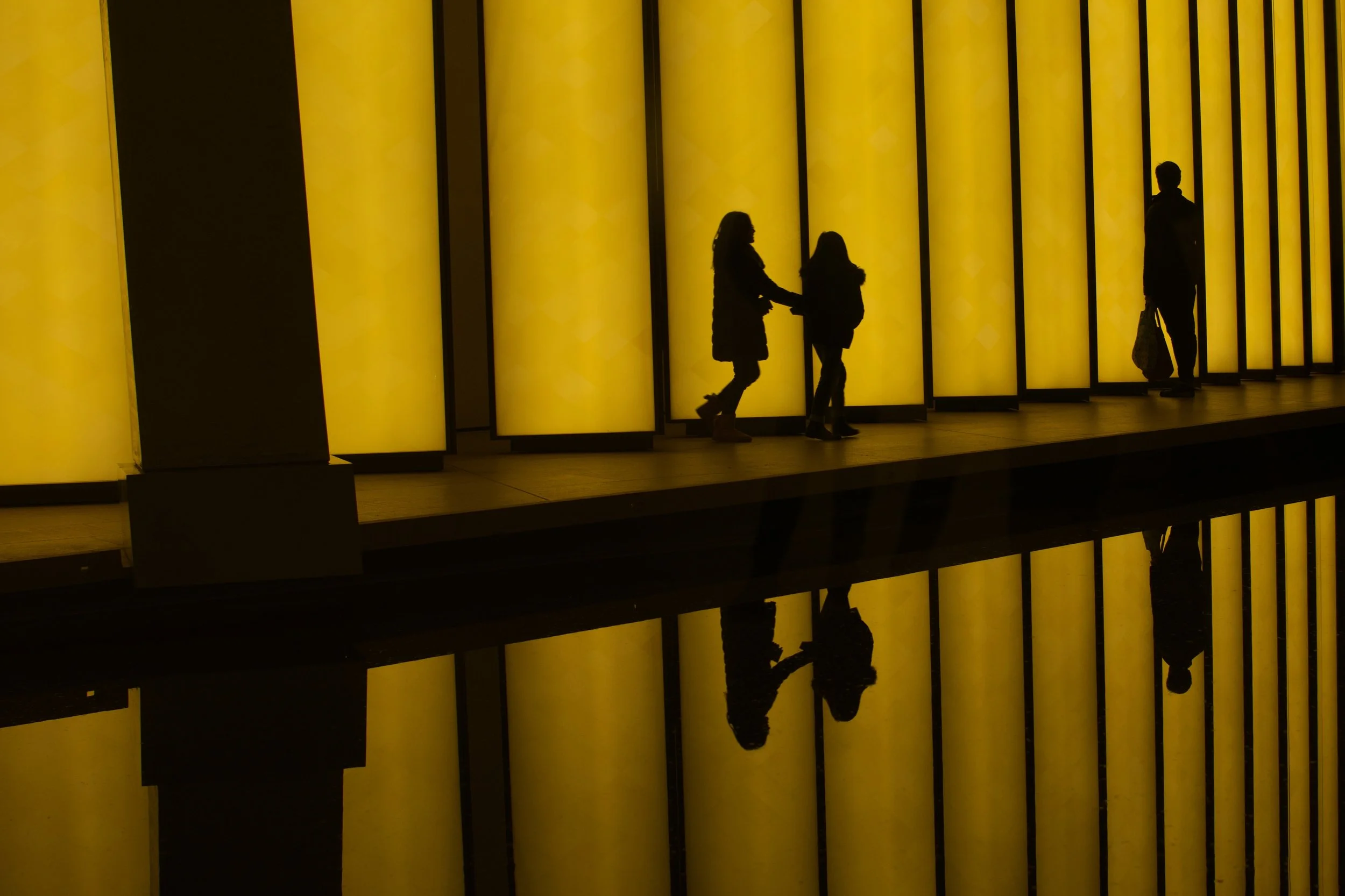 flv_backlight.jpg