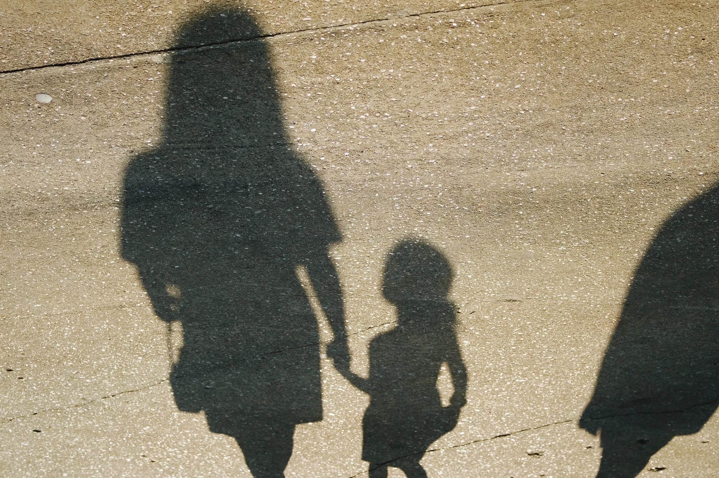delaware_shadows.jpeg