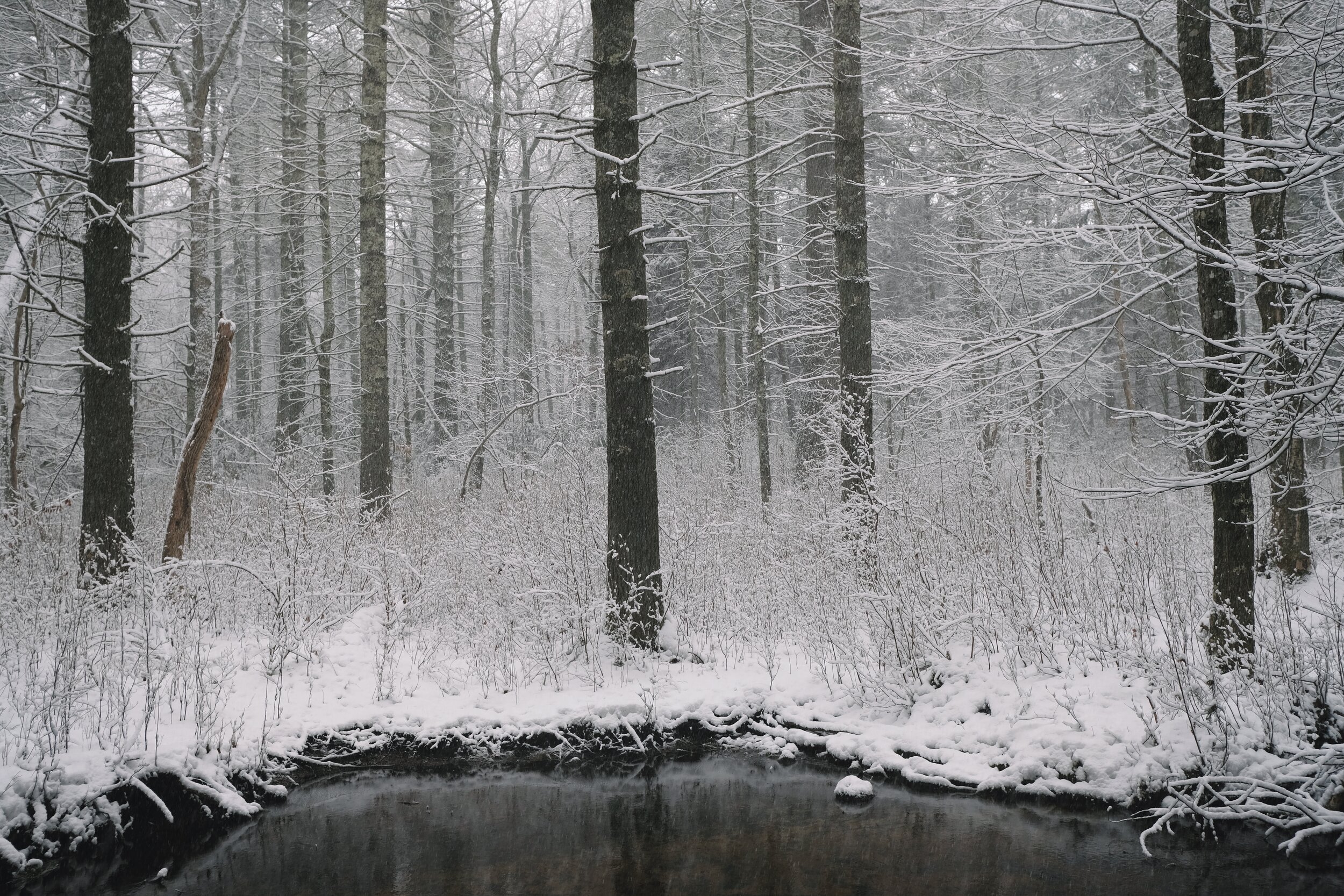 6D1EB36B-901C-4A46-A049-890ED52A2209_1_201_a.jpeg