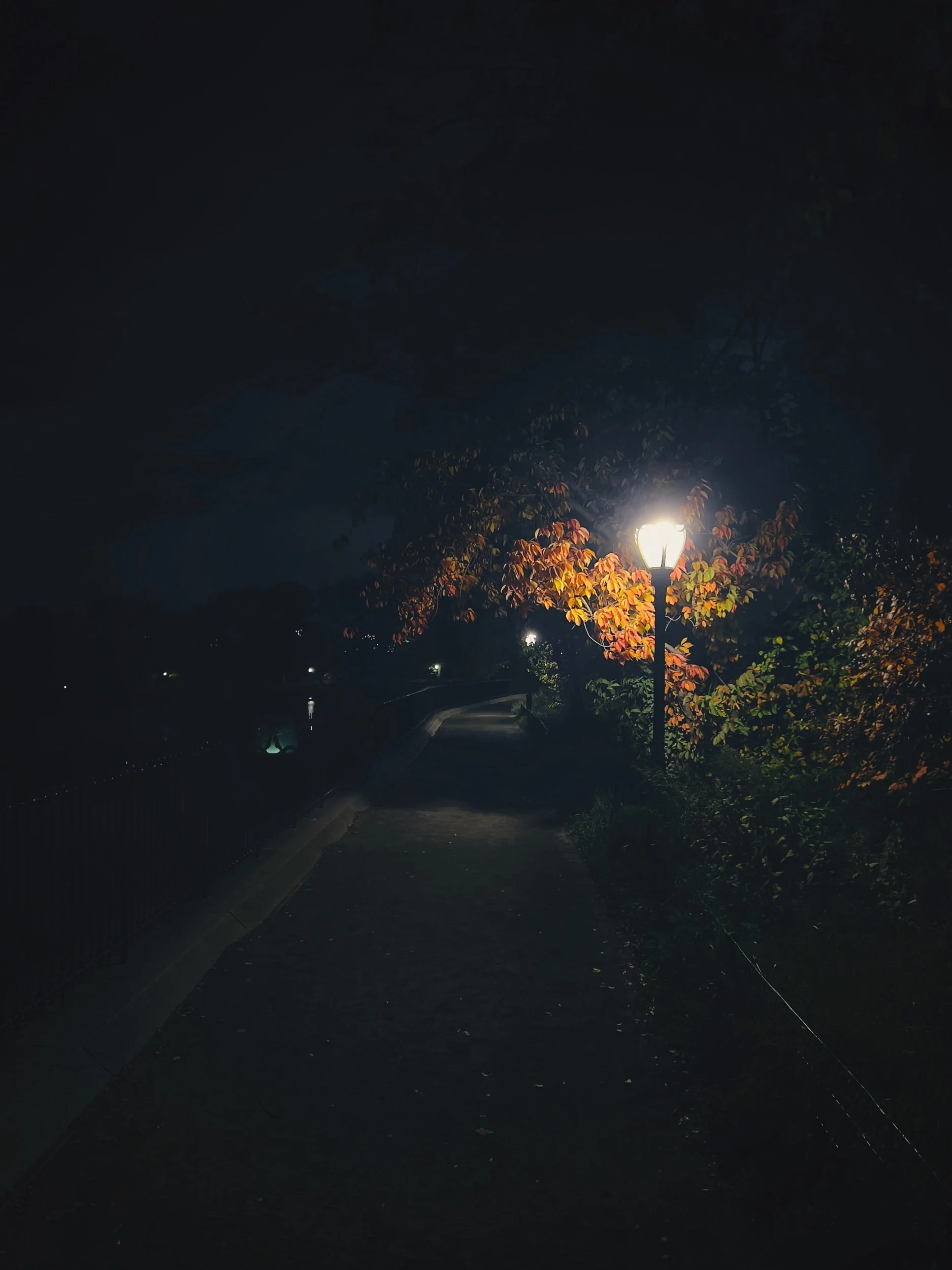 IMG_2624.jpeg