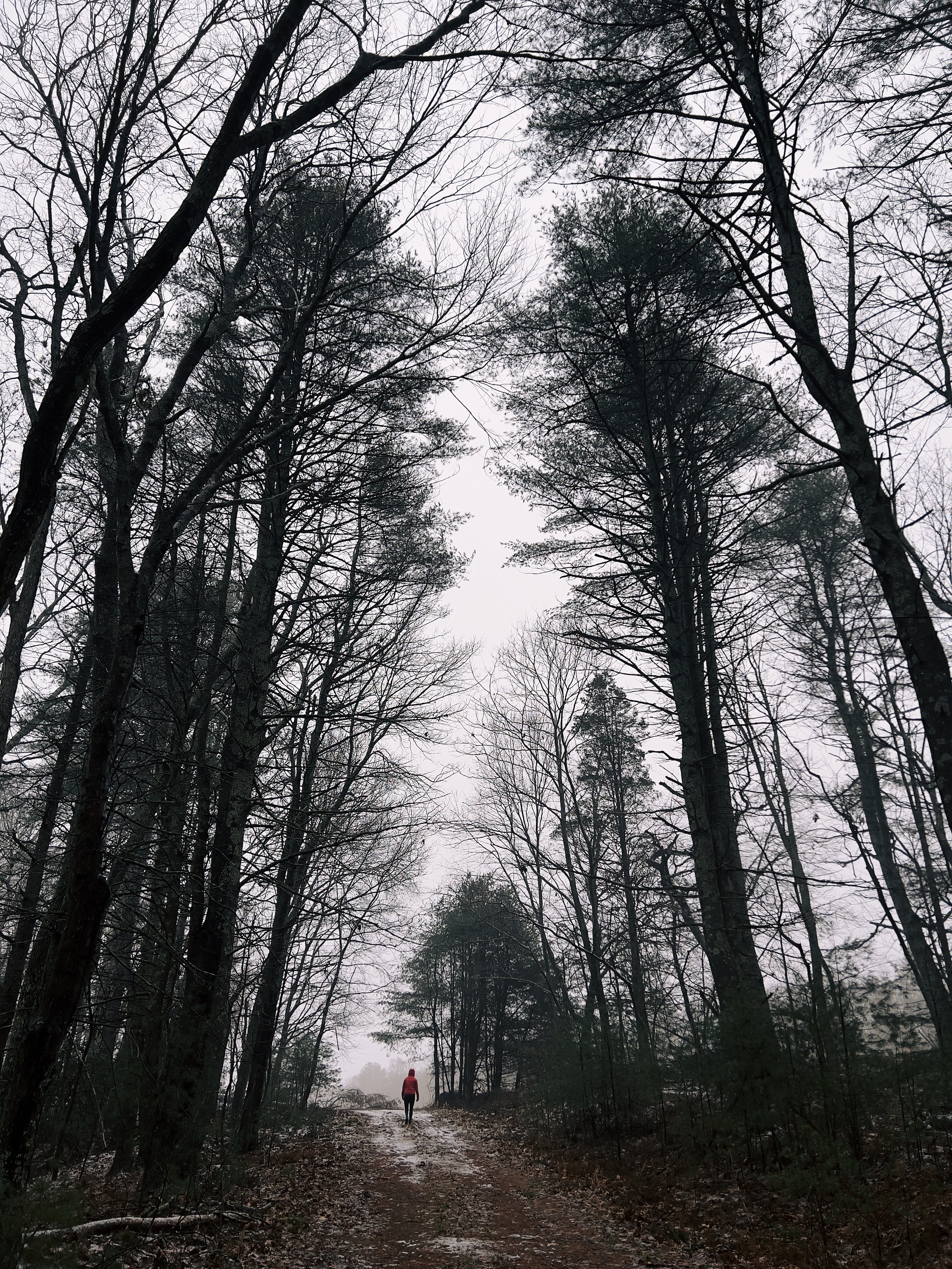 78BB8AEB-140D-404F-B845-63517BA3DF3F_1_201_a.jpeg