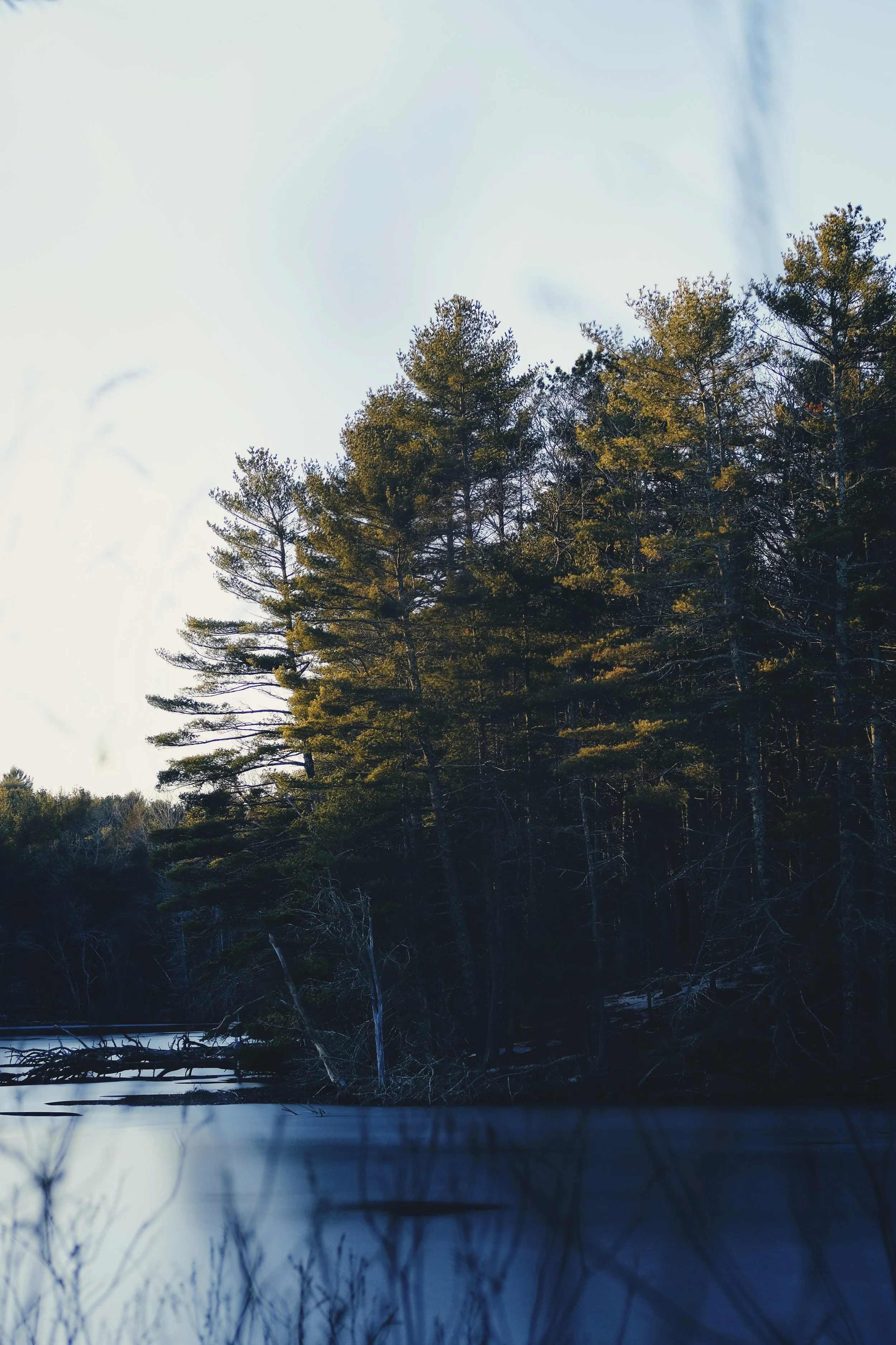 B2758182-EB87-4FF3-BB36-FD8FAB565988_1_201_a.jpeg