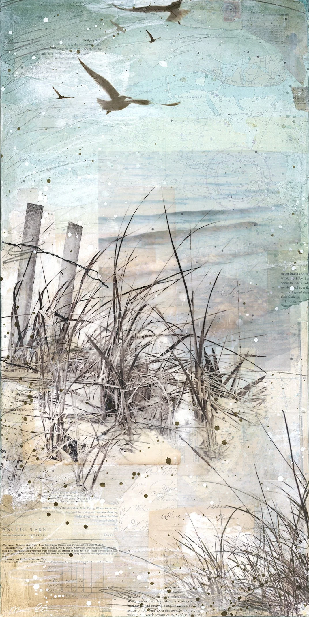 SandRoad_lo_72dpi.jpg