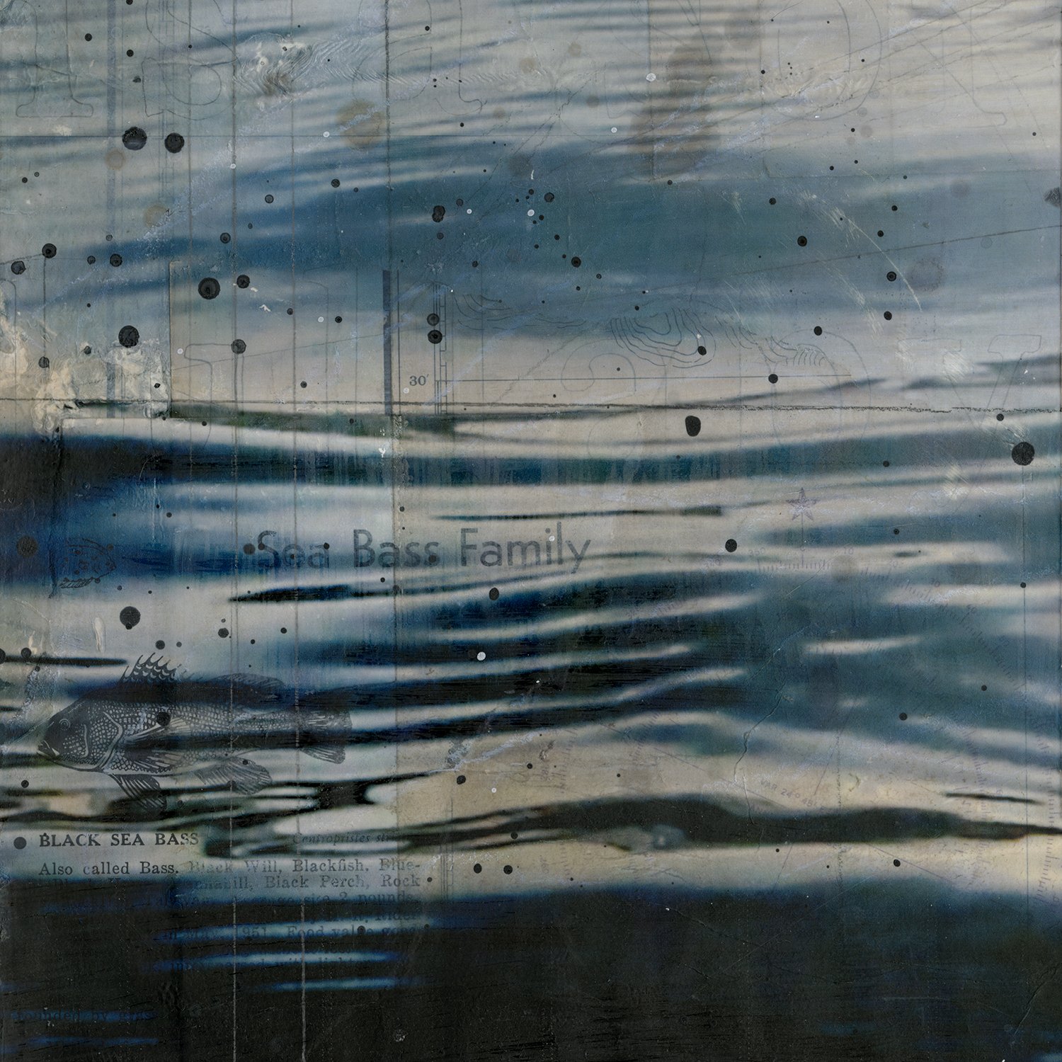 DreamingGleamingBay_detail02.jpg