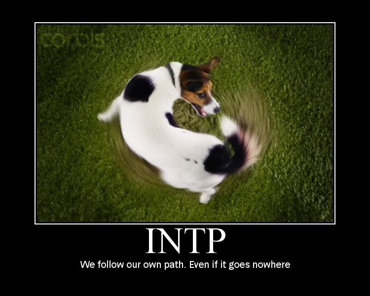 INTP follow.jpg